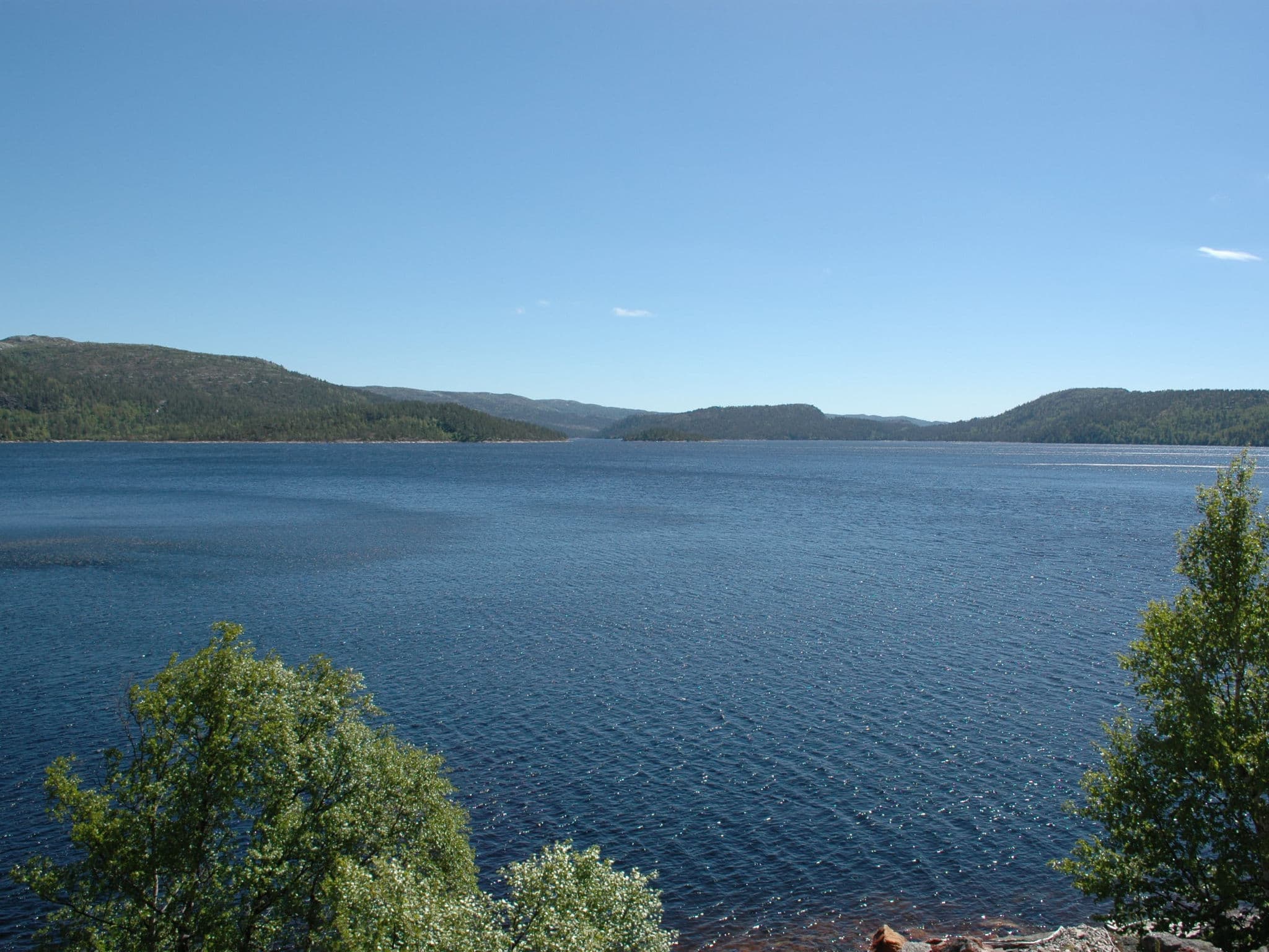 View