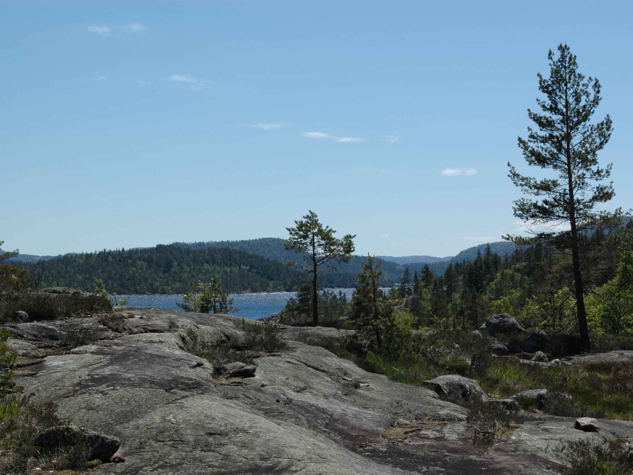 View