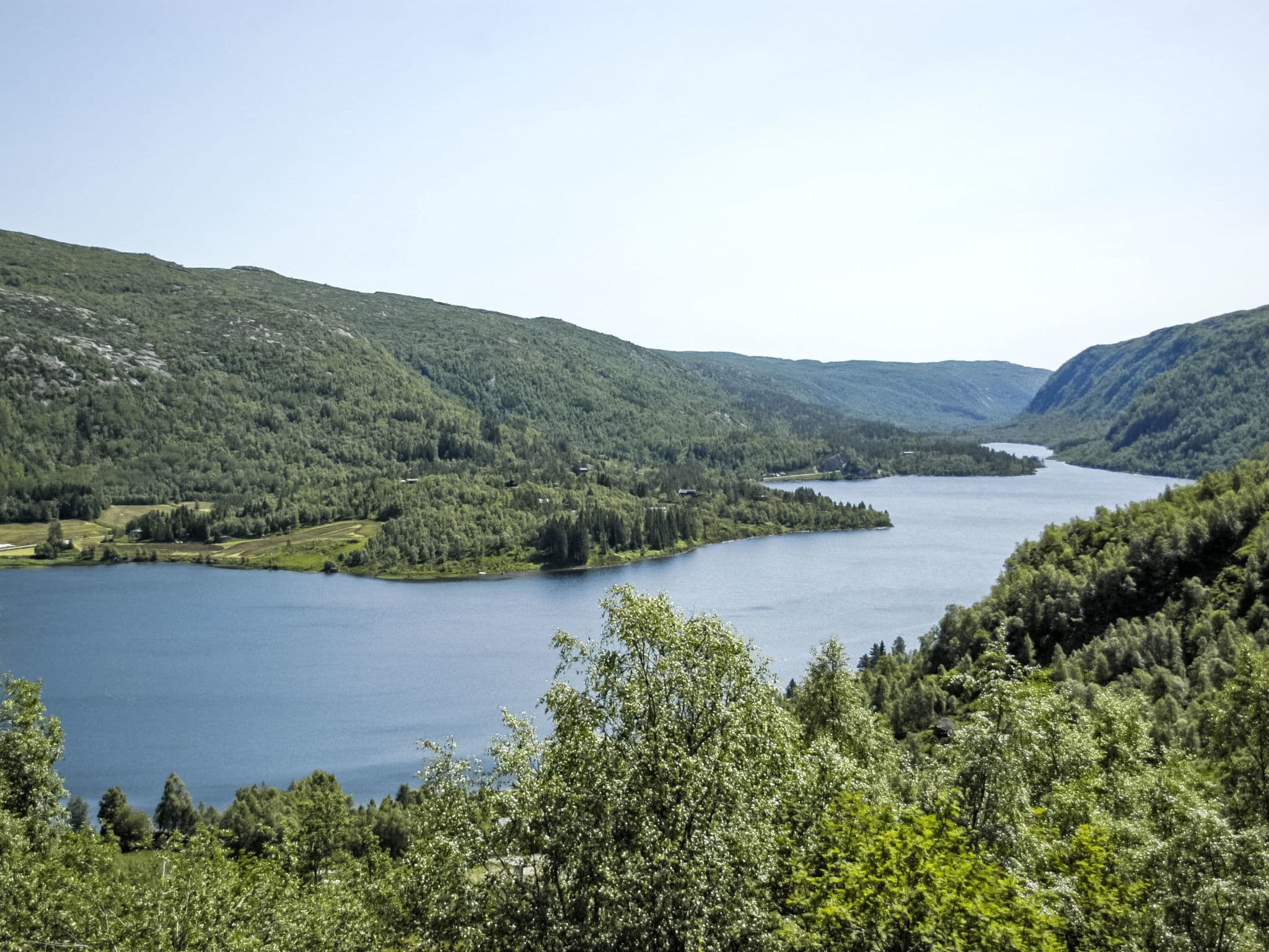 View