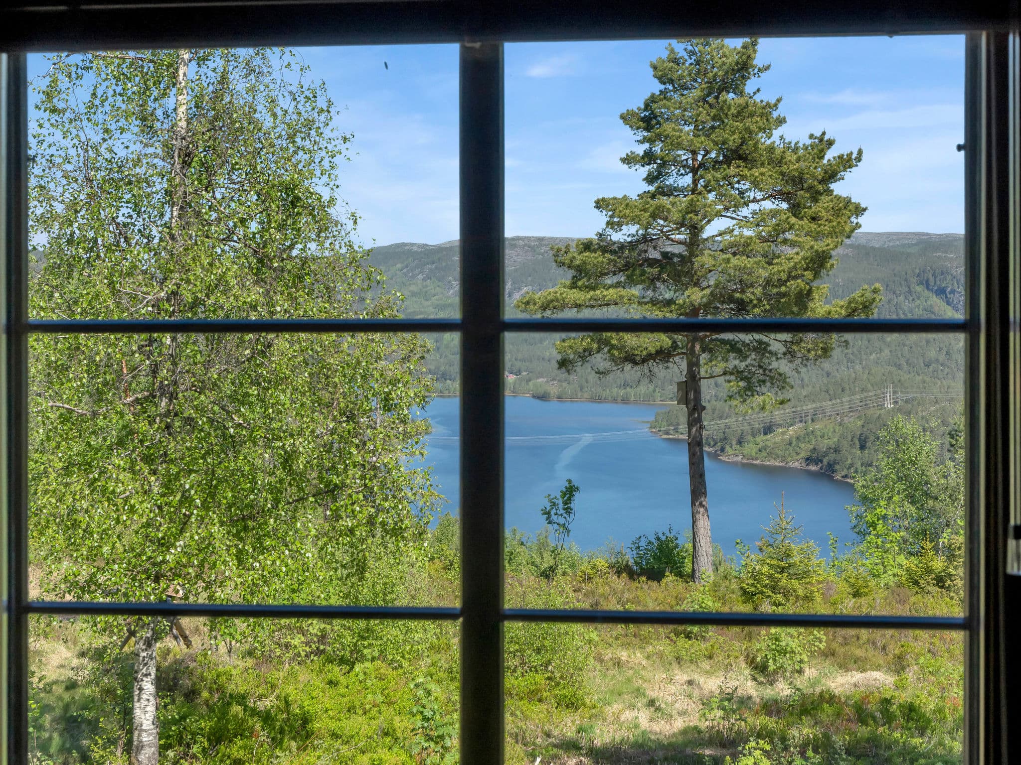 View