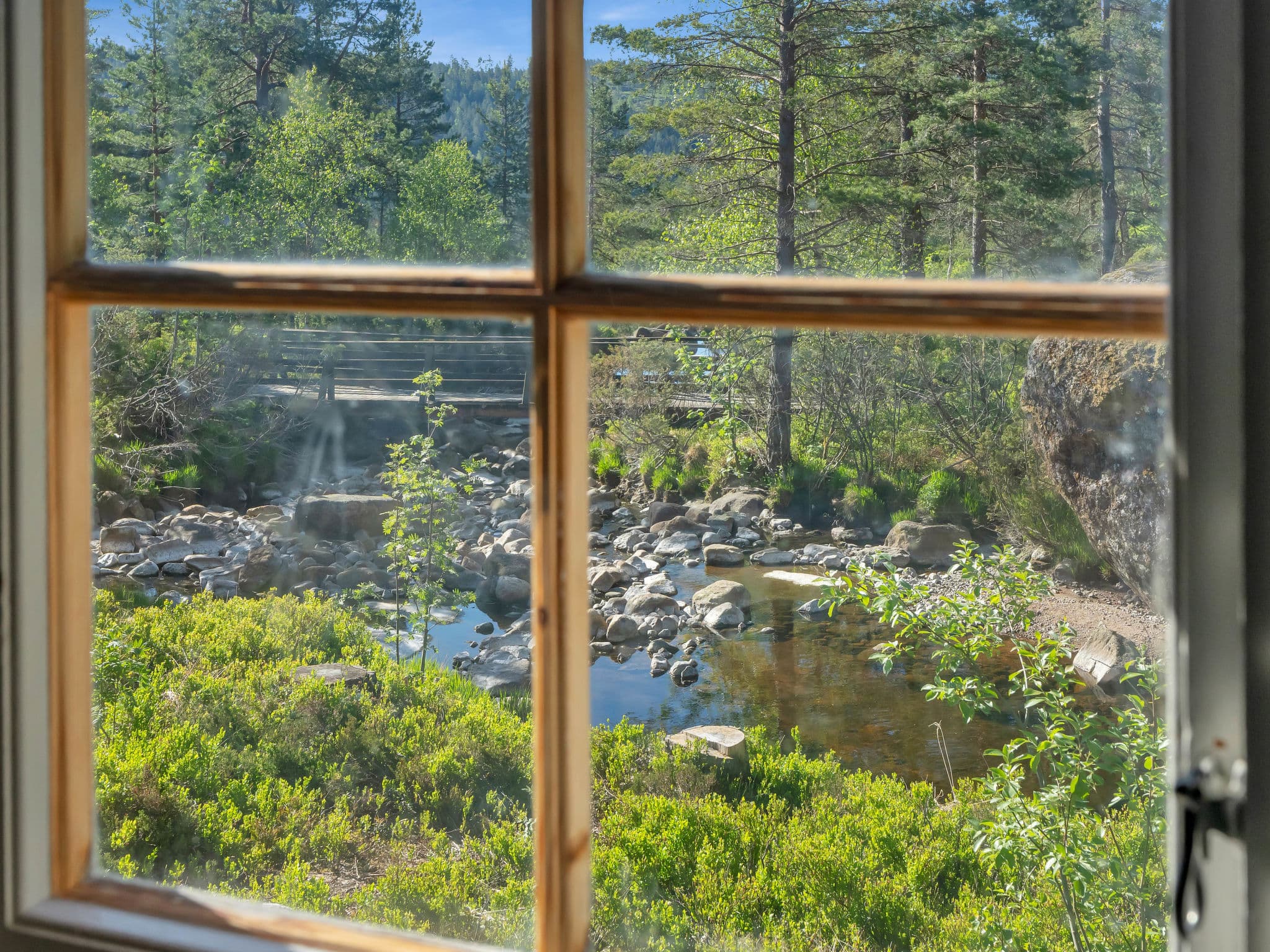 View