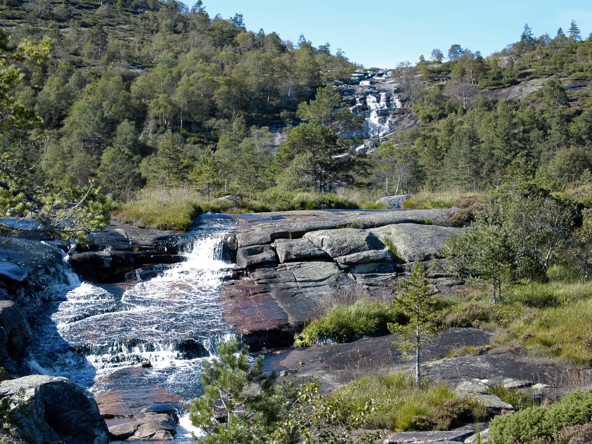 Place