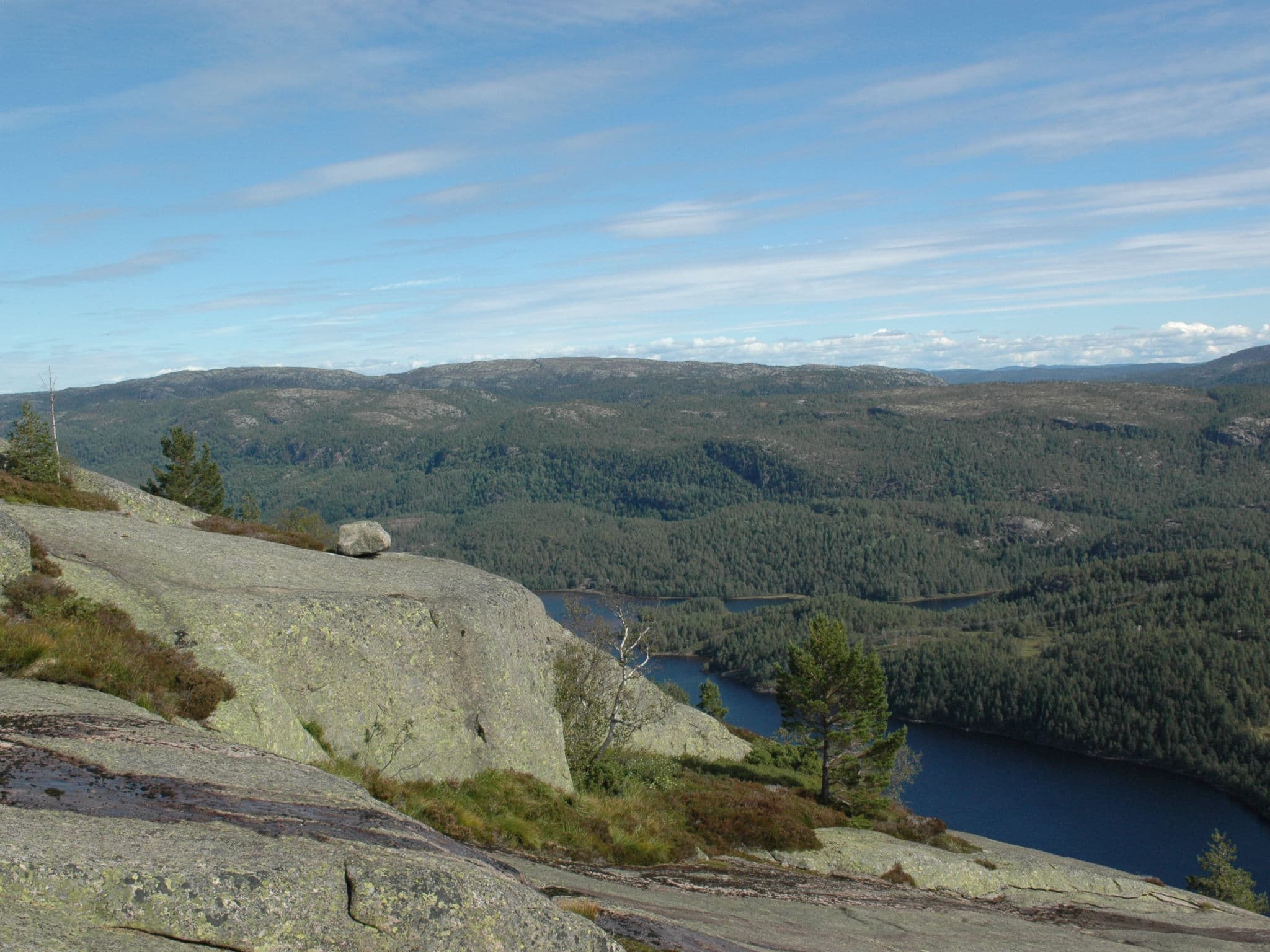 View