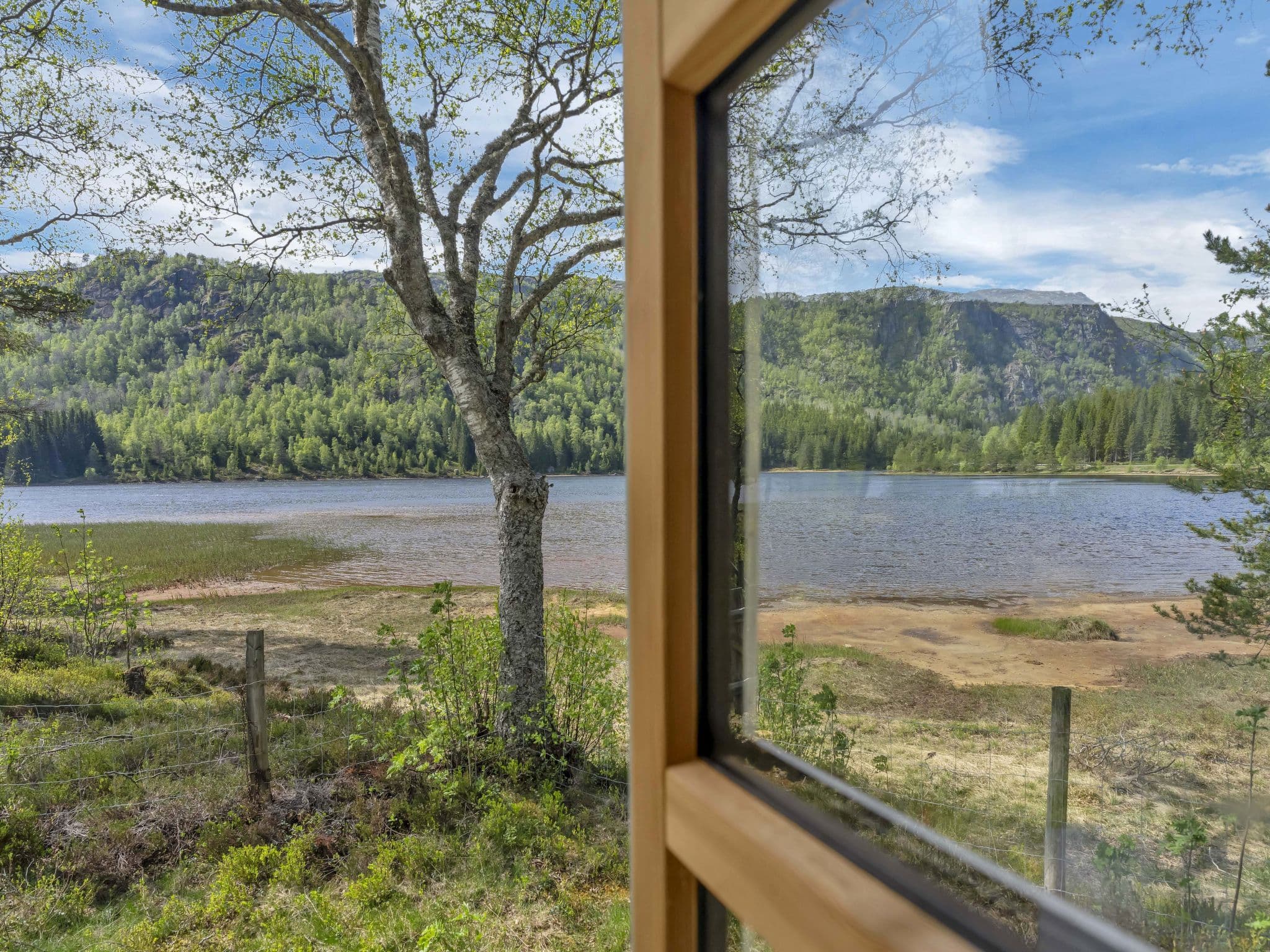 View