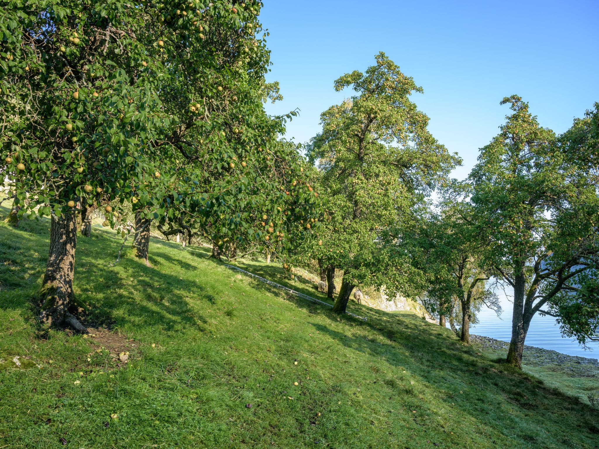 Outdoor
