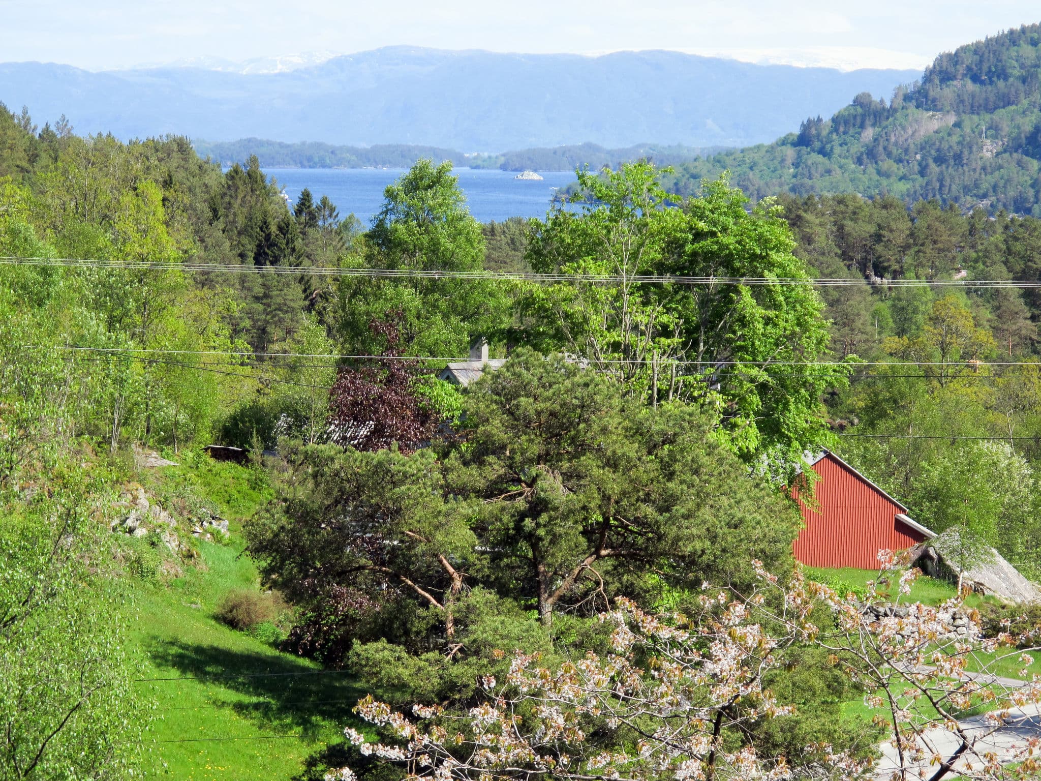 View