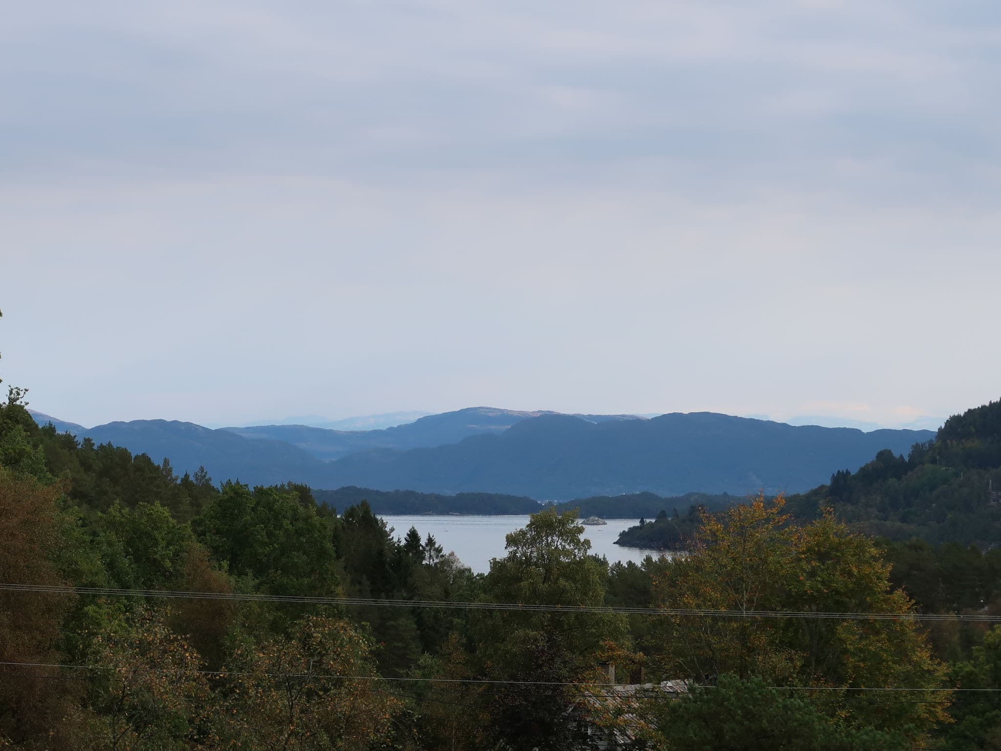 View