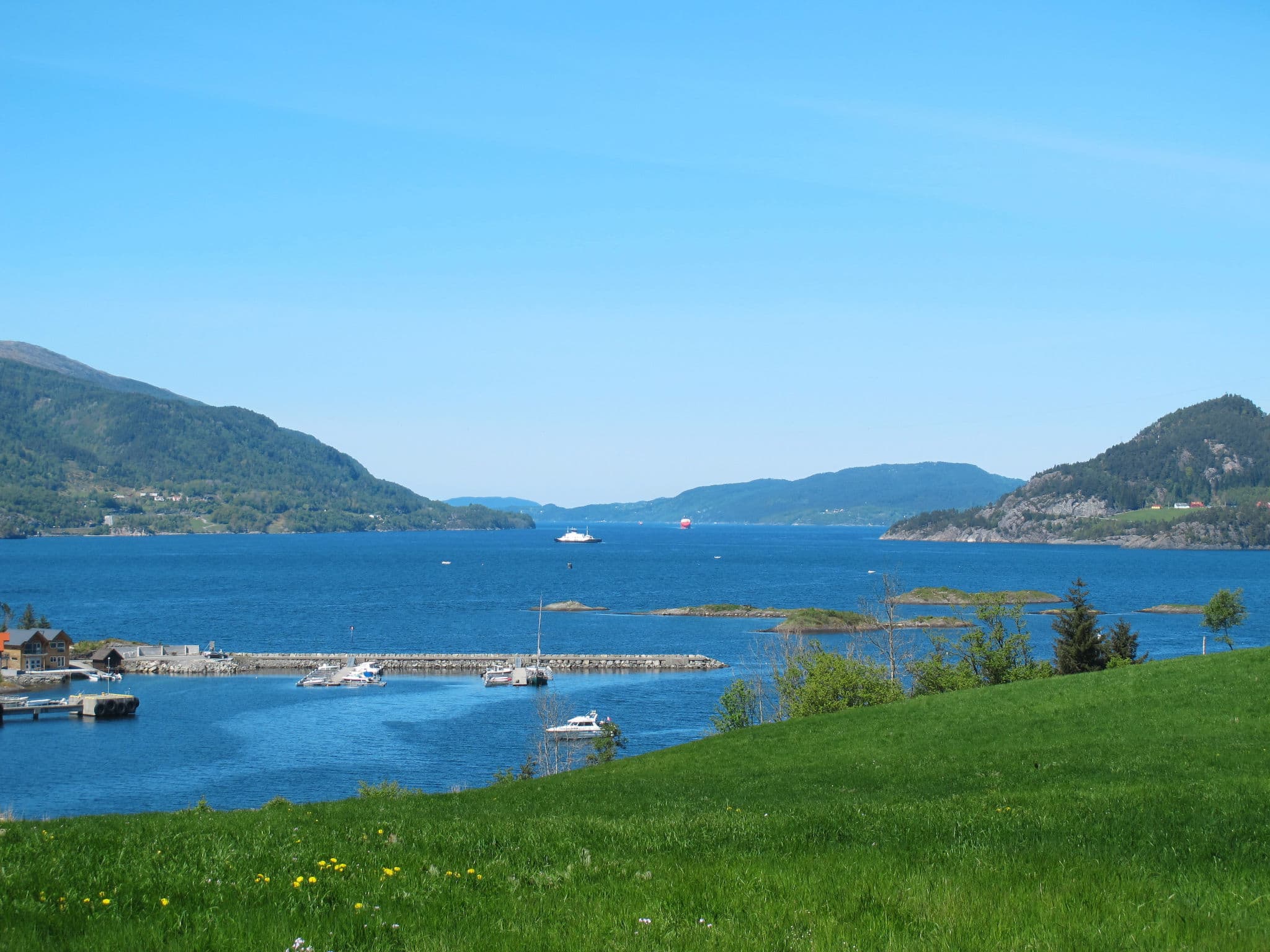 View