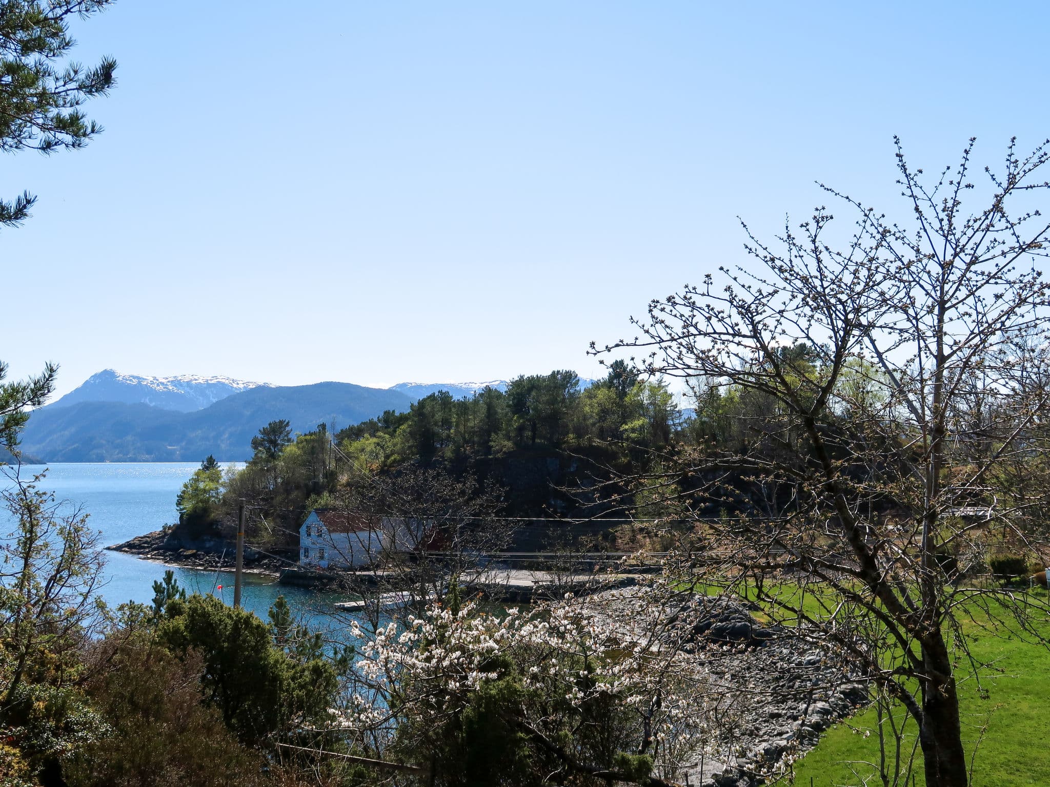 View