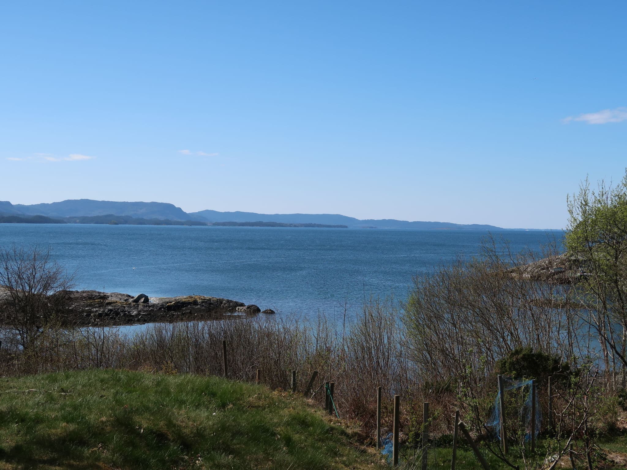 View