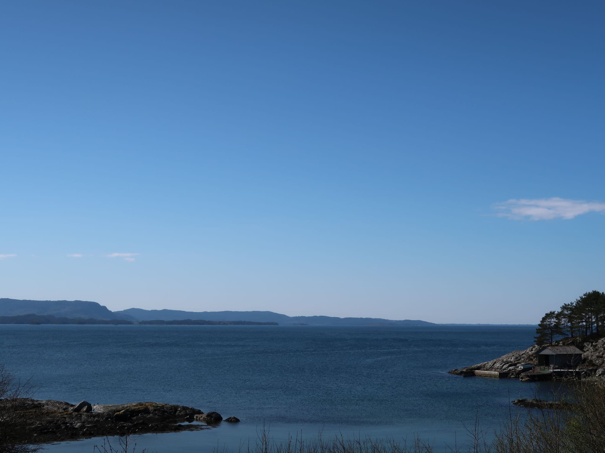 View