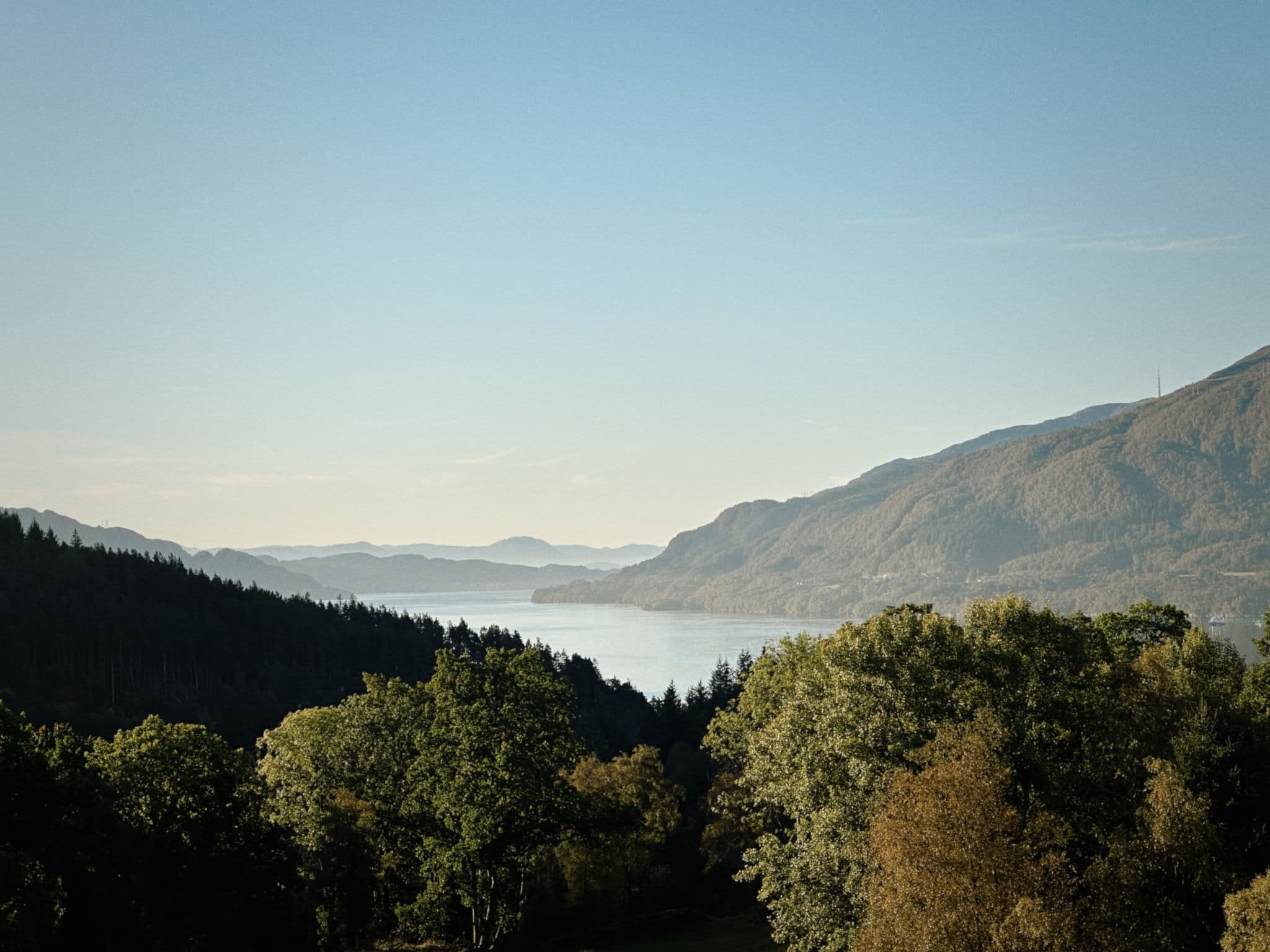 View