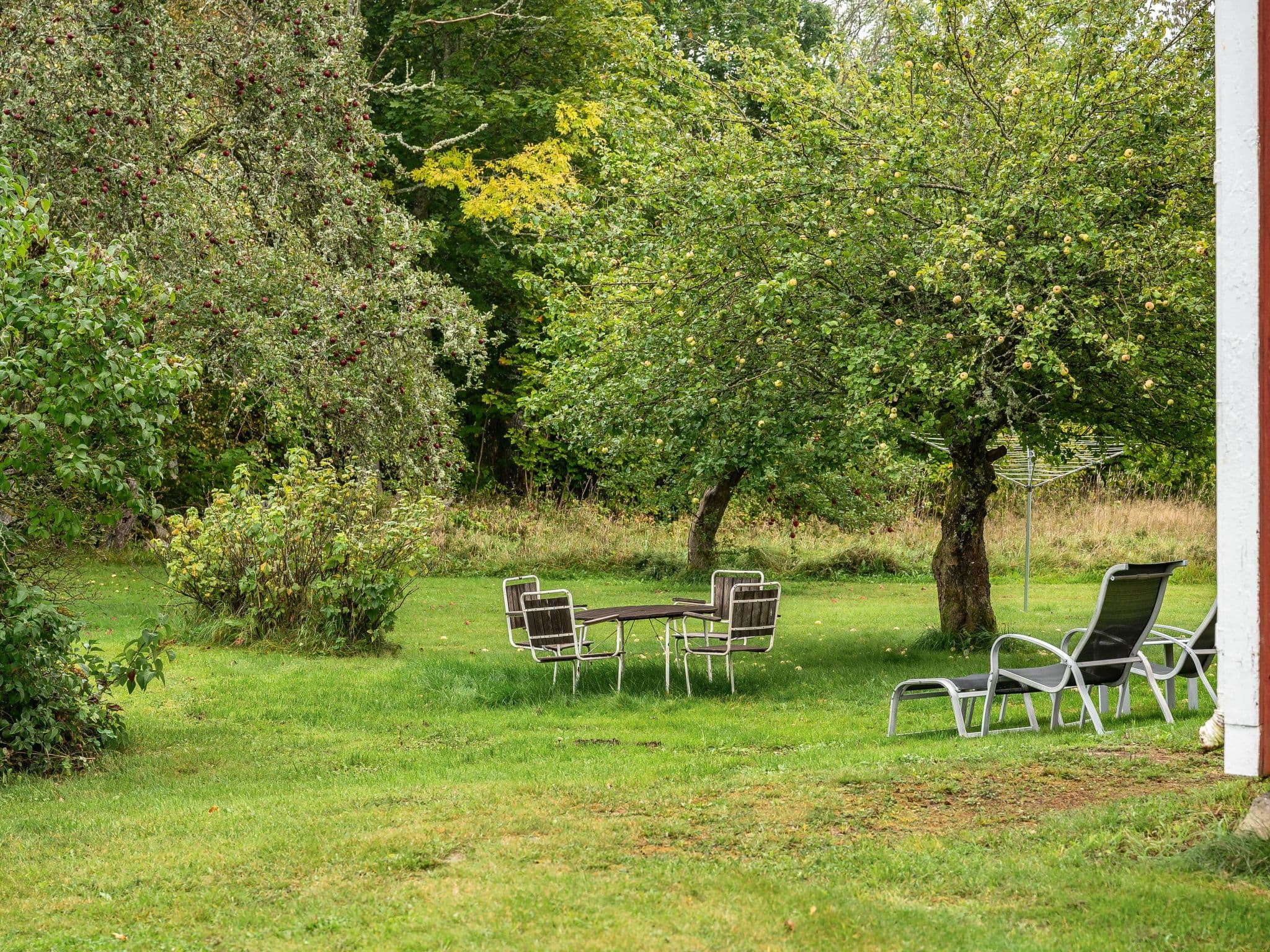 Outdoor
