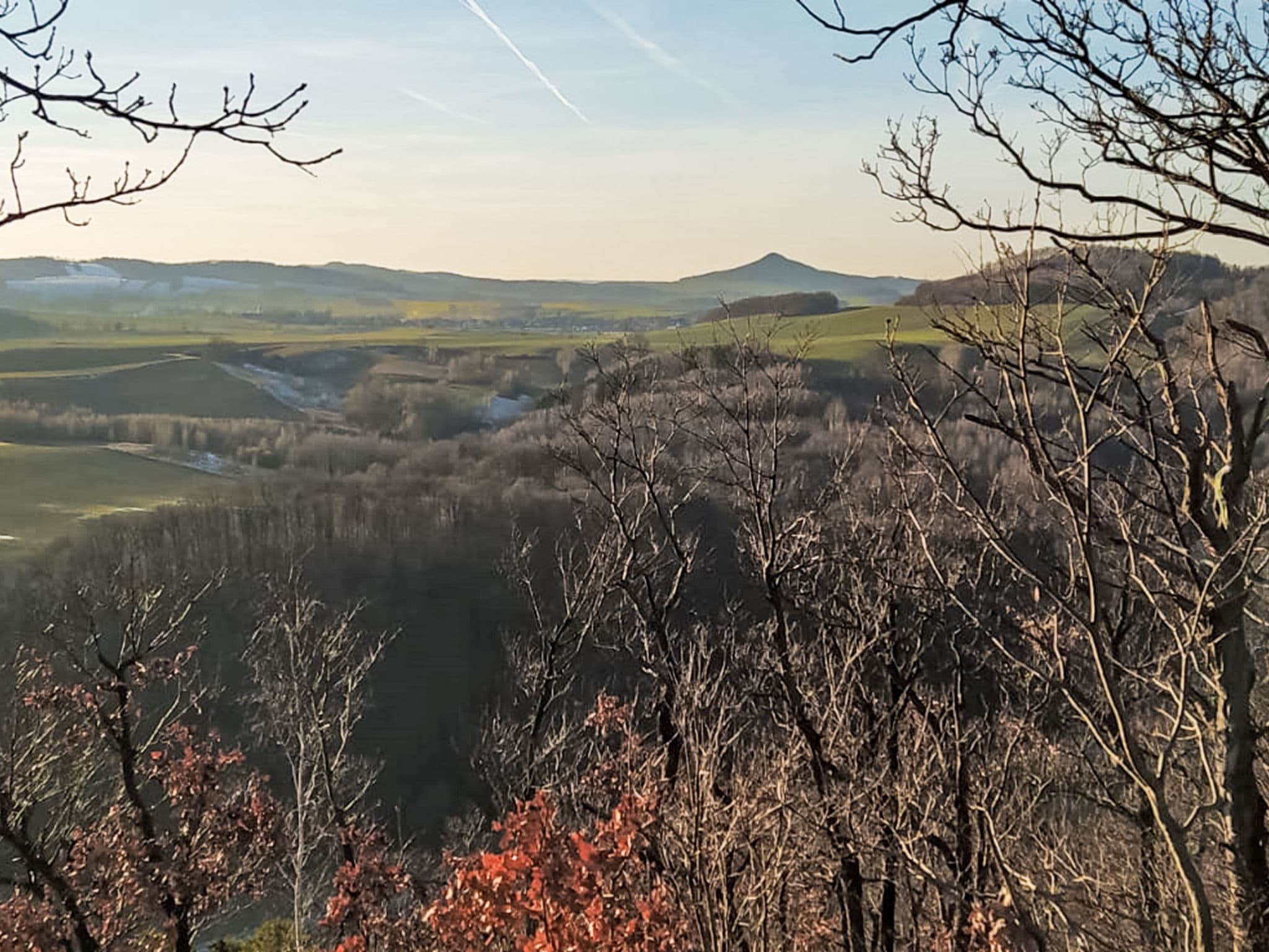 View