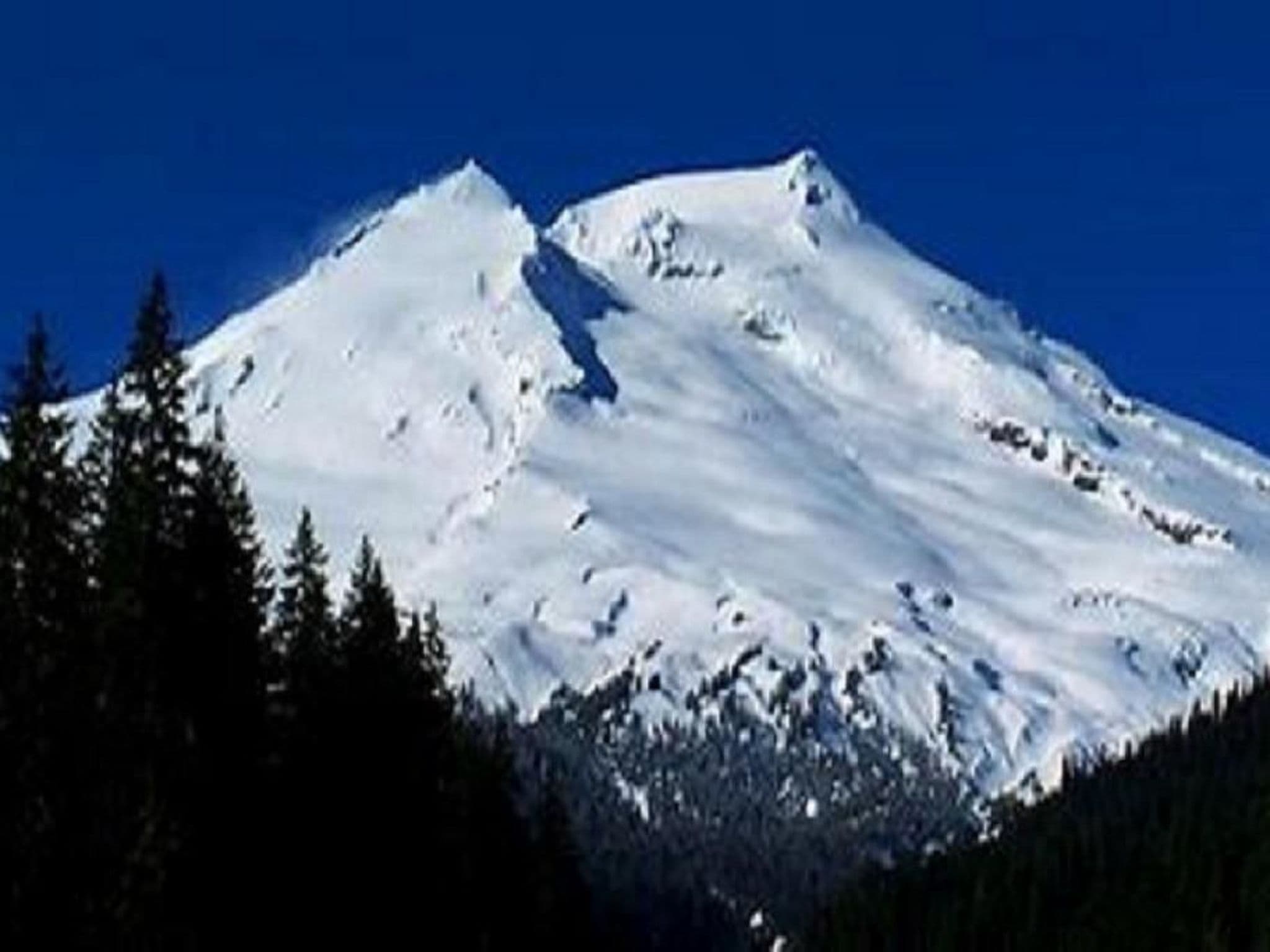 Gallery Image 21