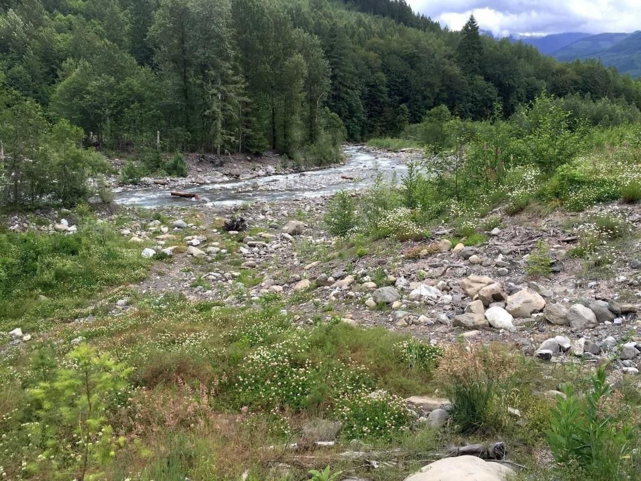 Gallery Image 23