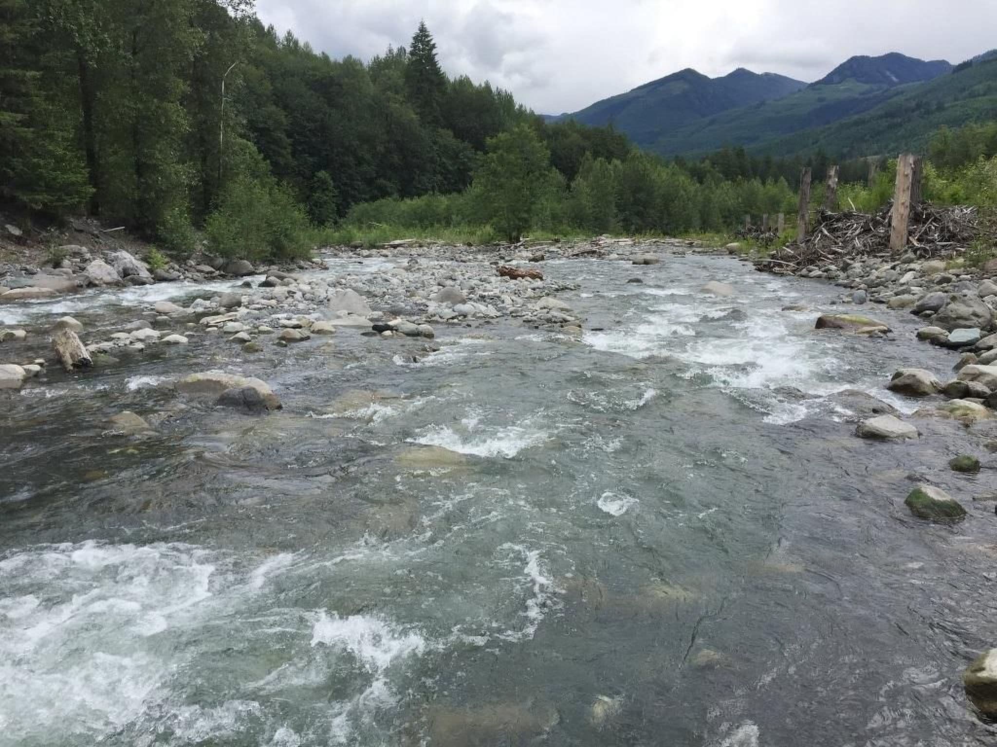 Gallery Image 24