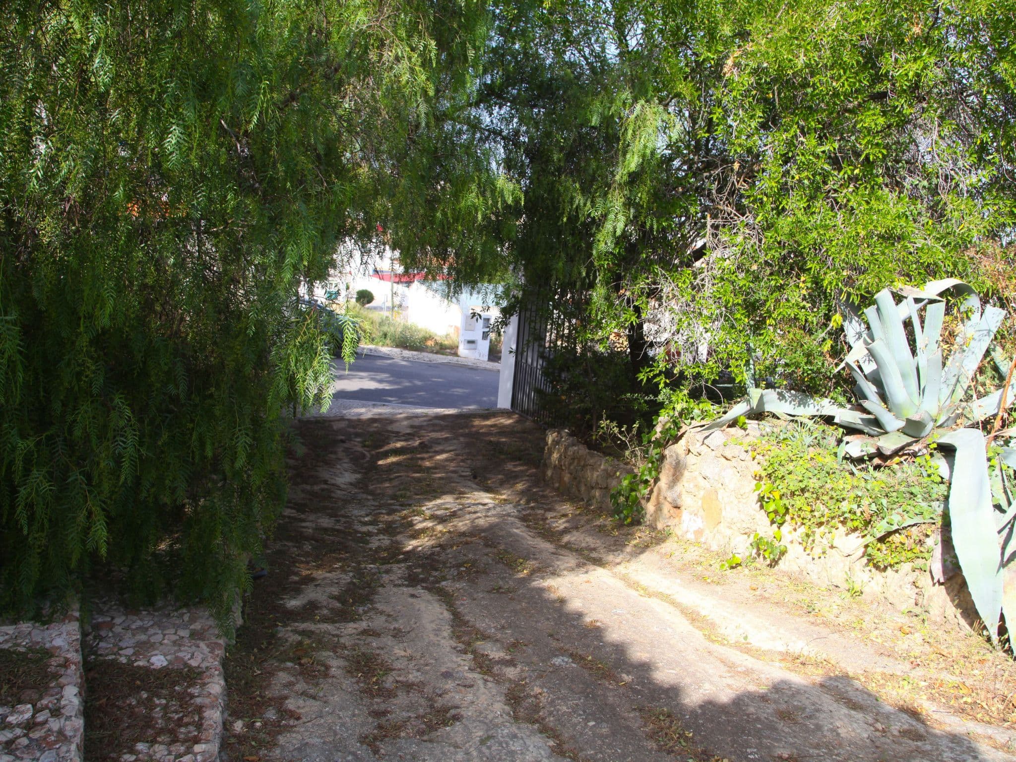 Gallery Image 18
