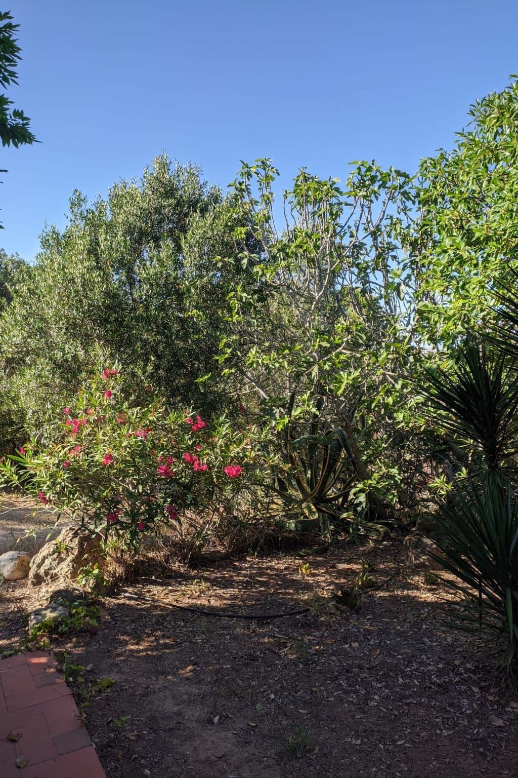 Gallery Image 17