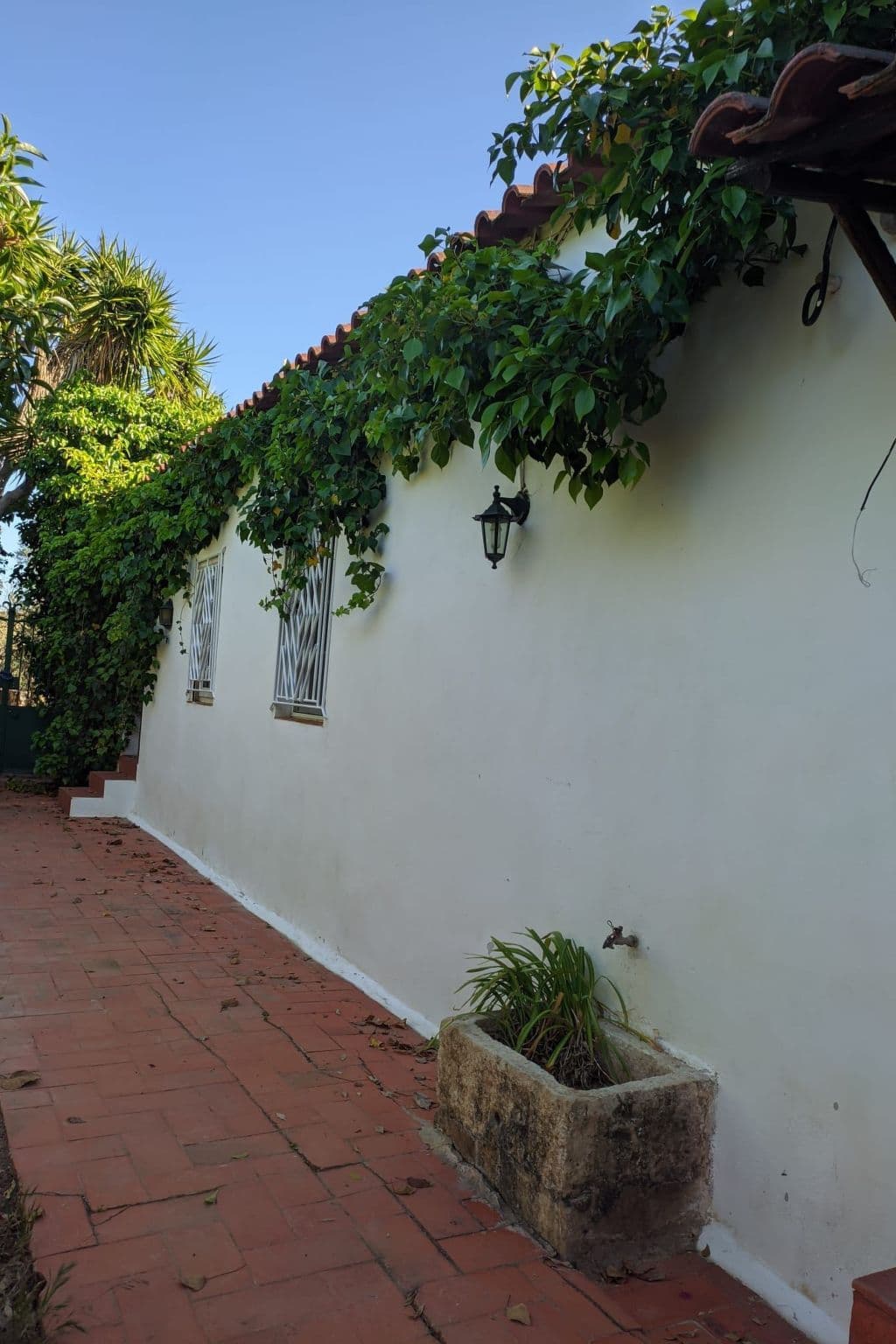 Gallery Image 19