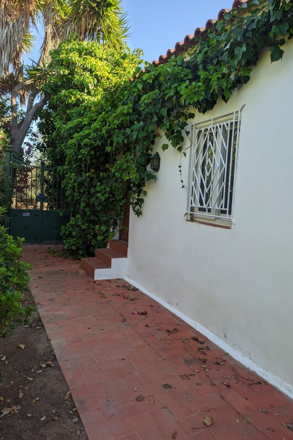 Gallery Image 20