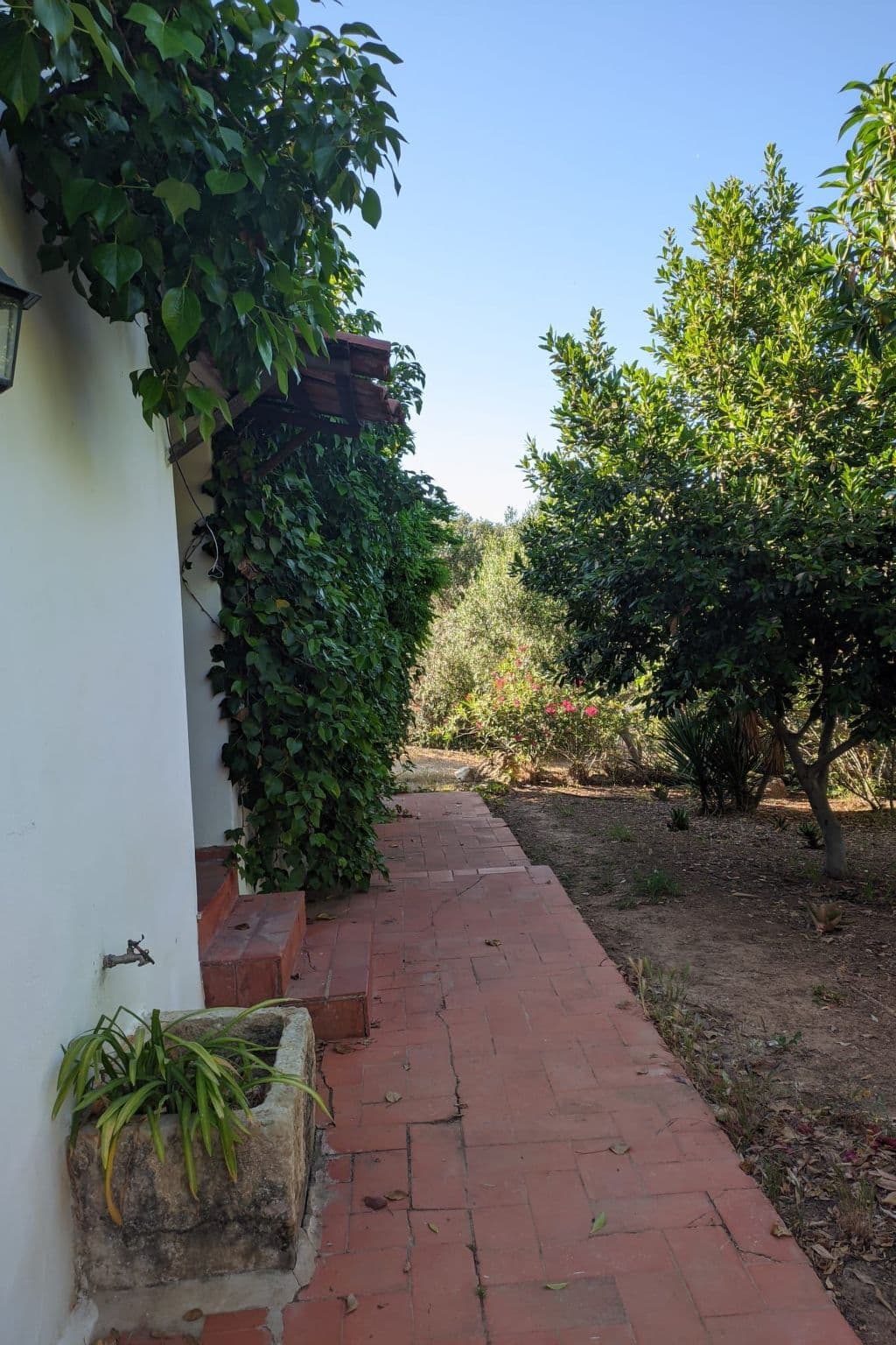 Gallery Image 21