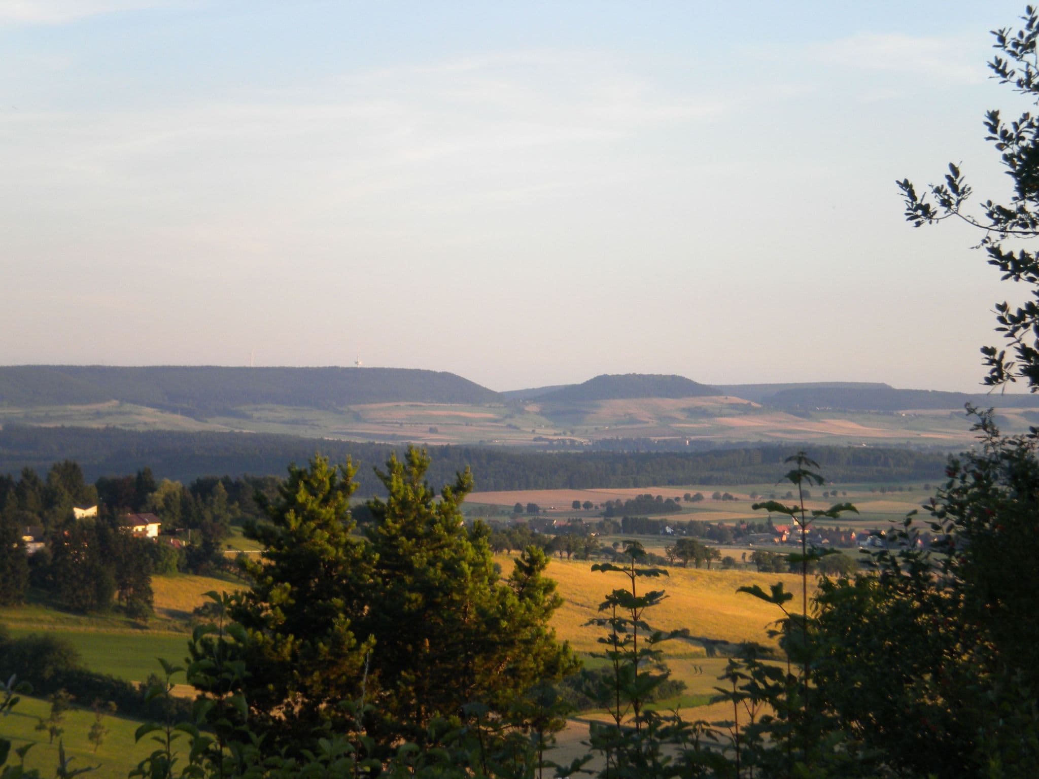 View