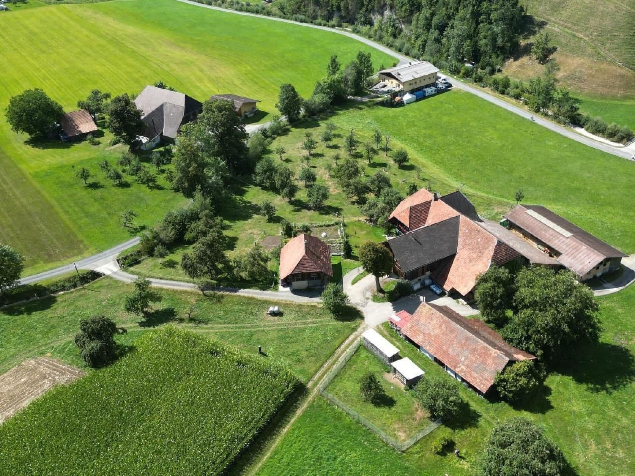 Aerial photography