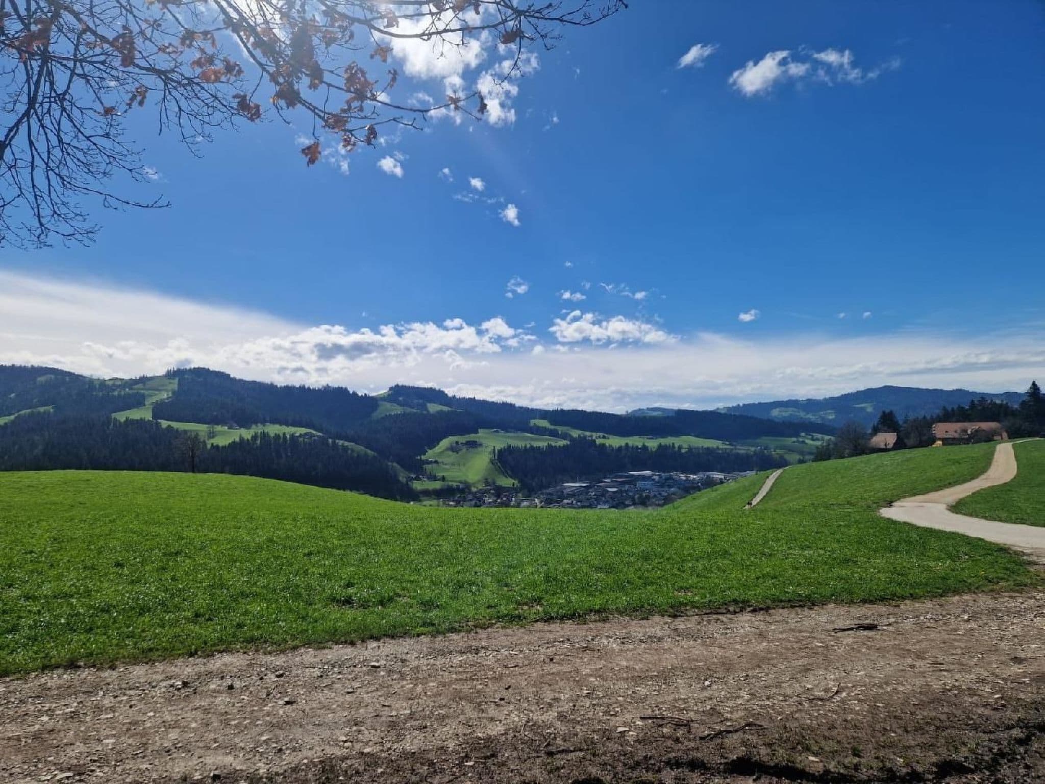 View