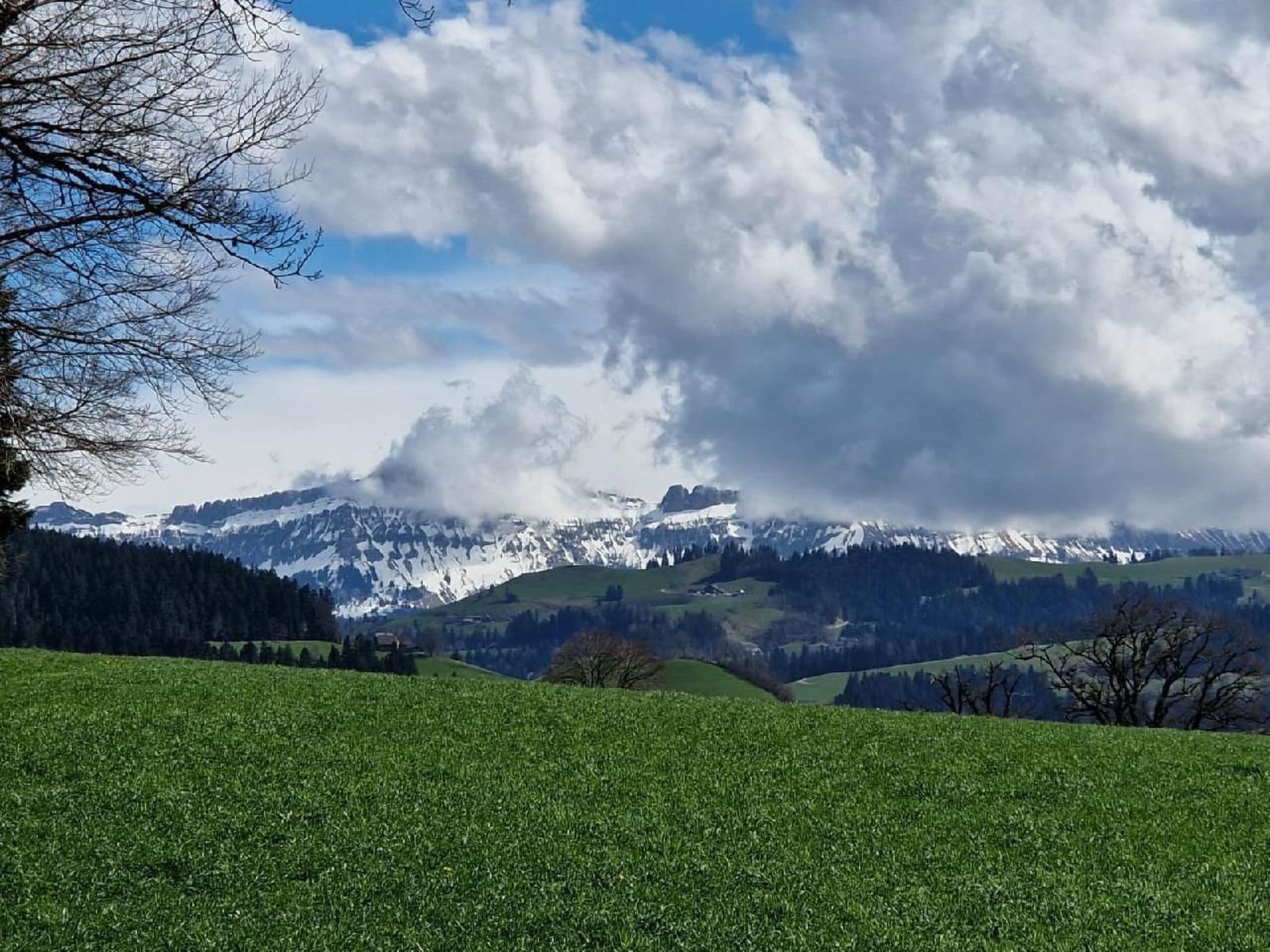 View