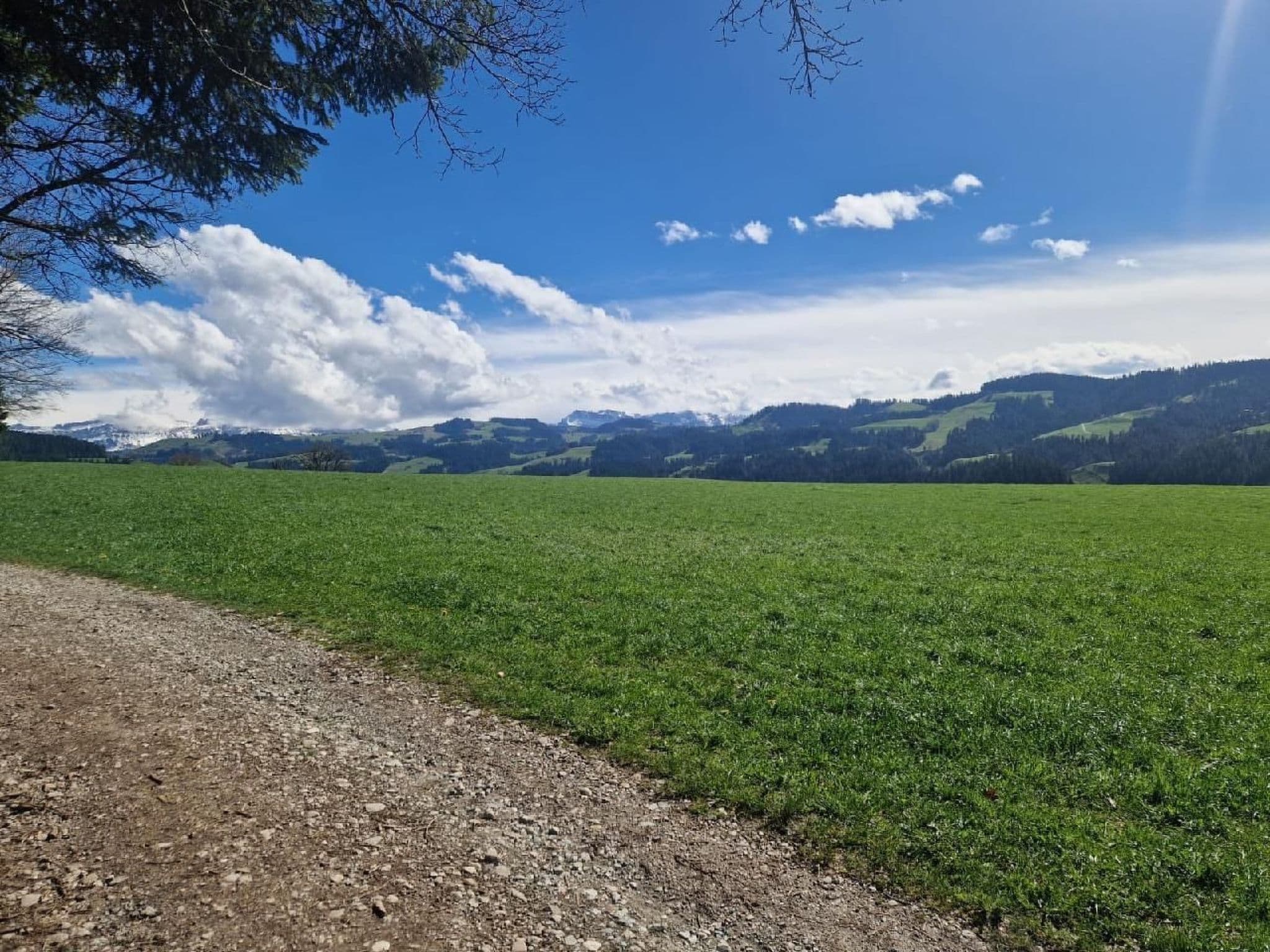 View