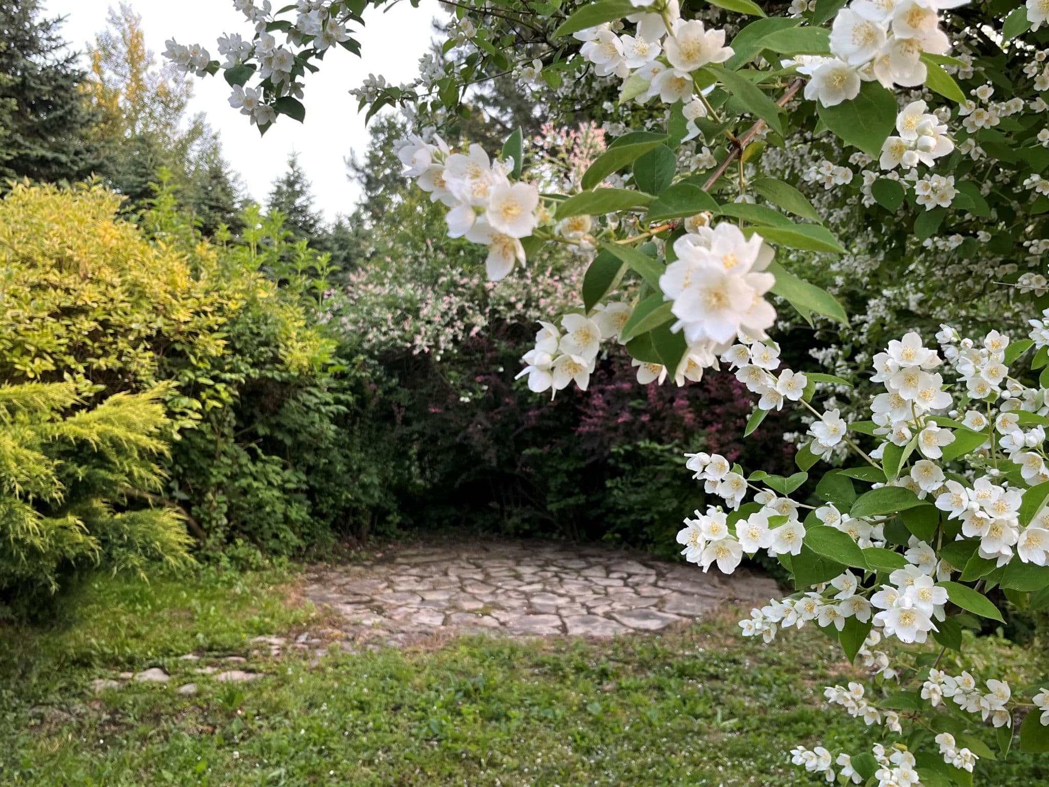 Outdoor
