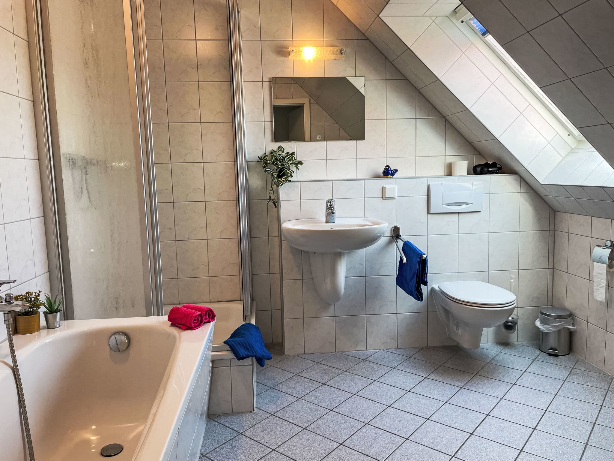 Bathroom / Wellness