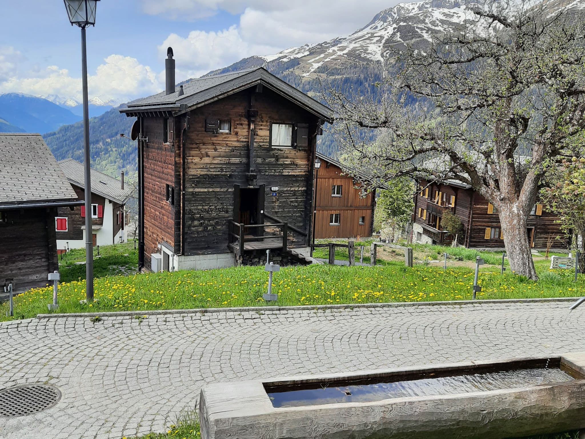 Gallery Image 14