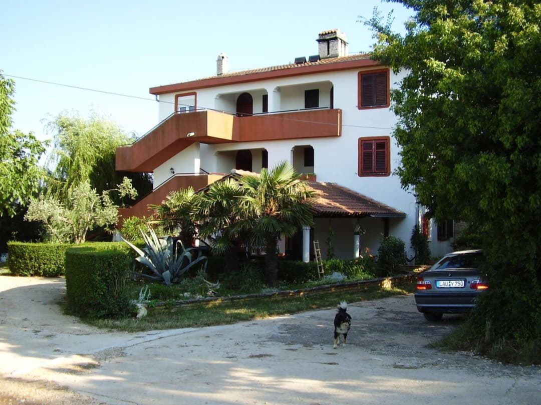 Large Image