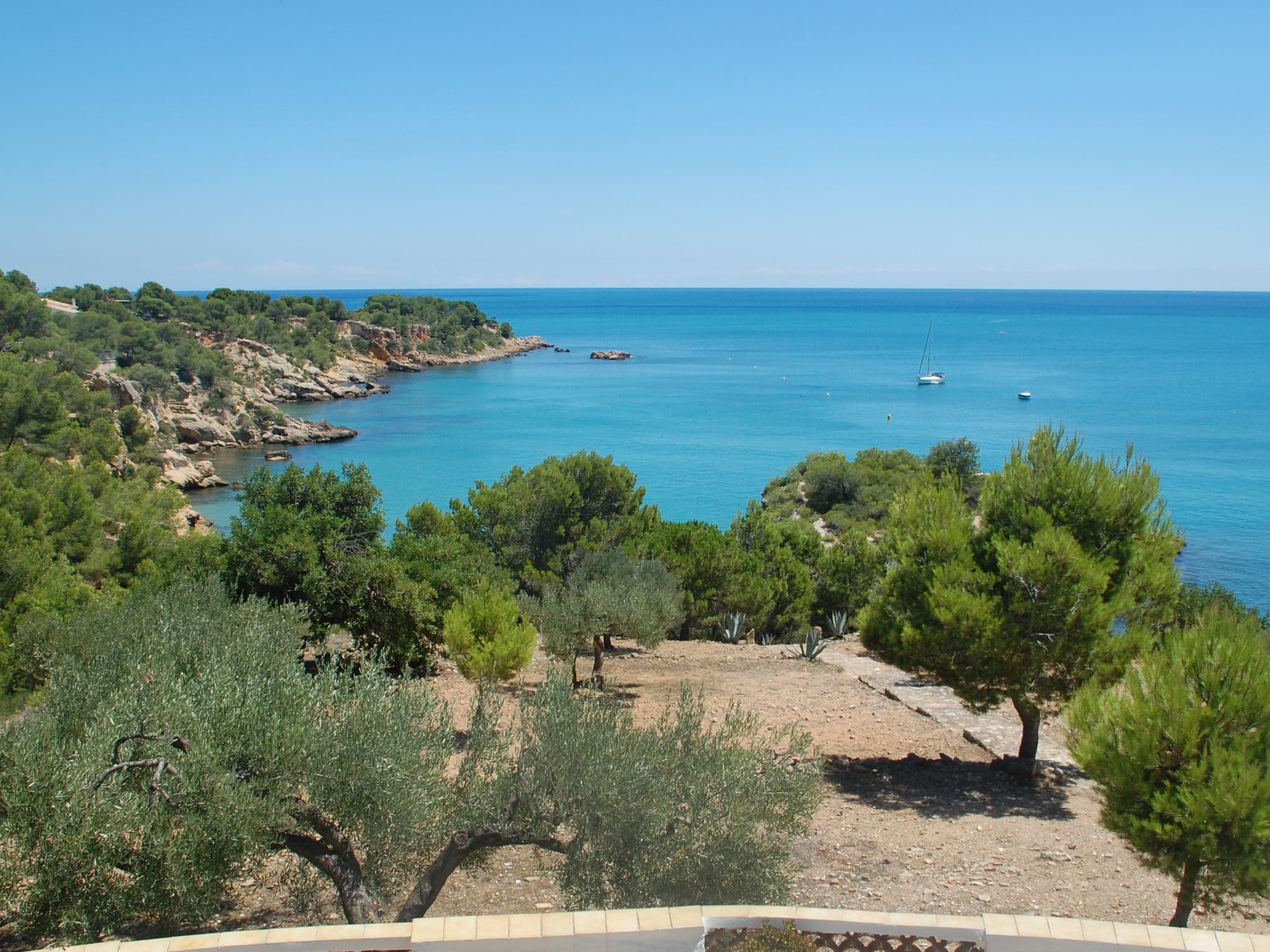 View