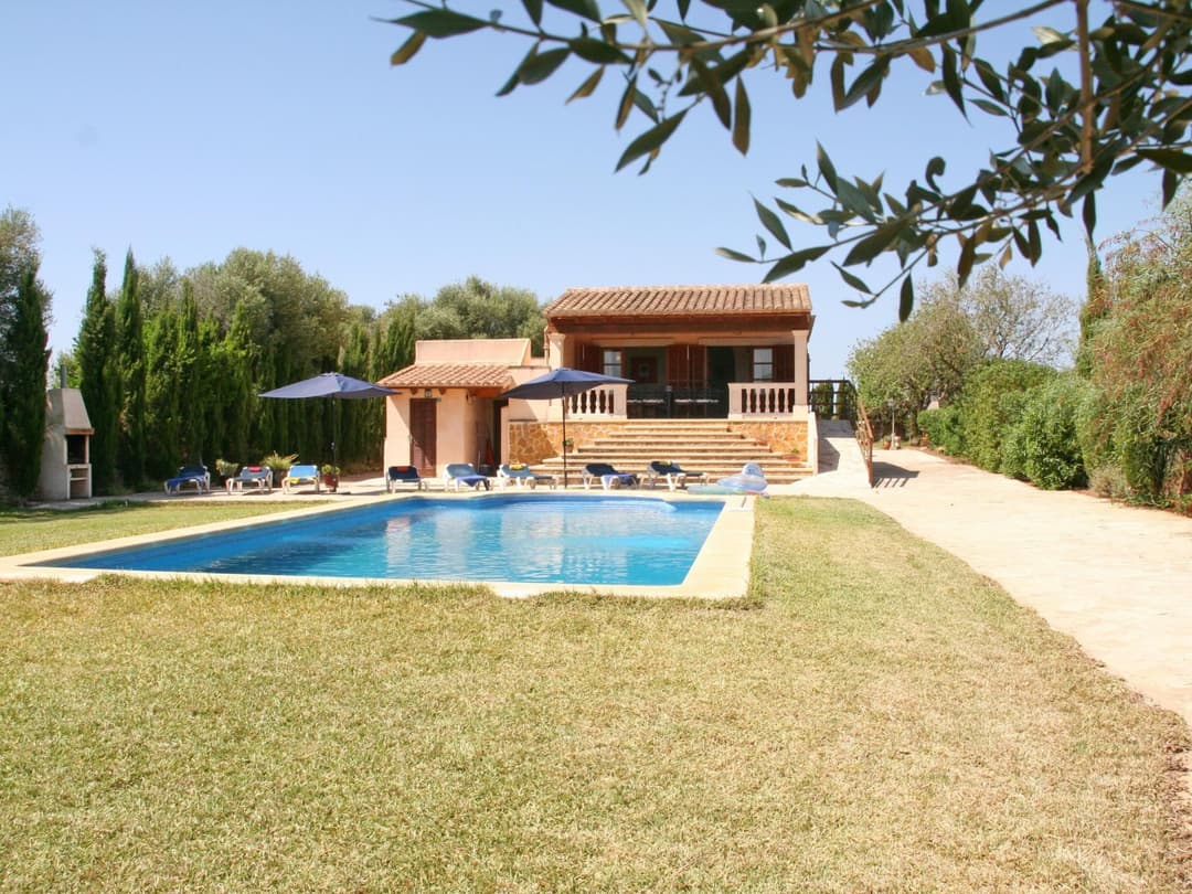 Large Image