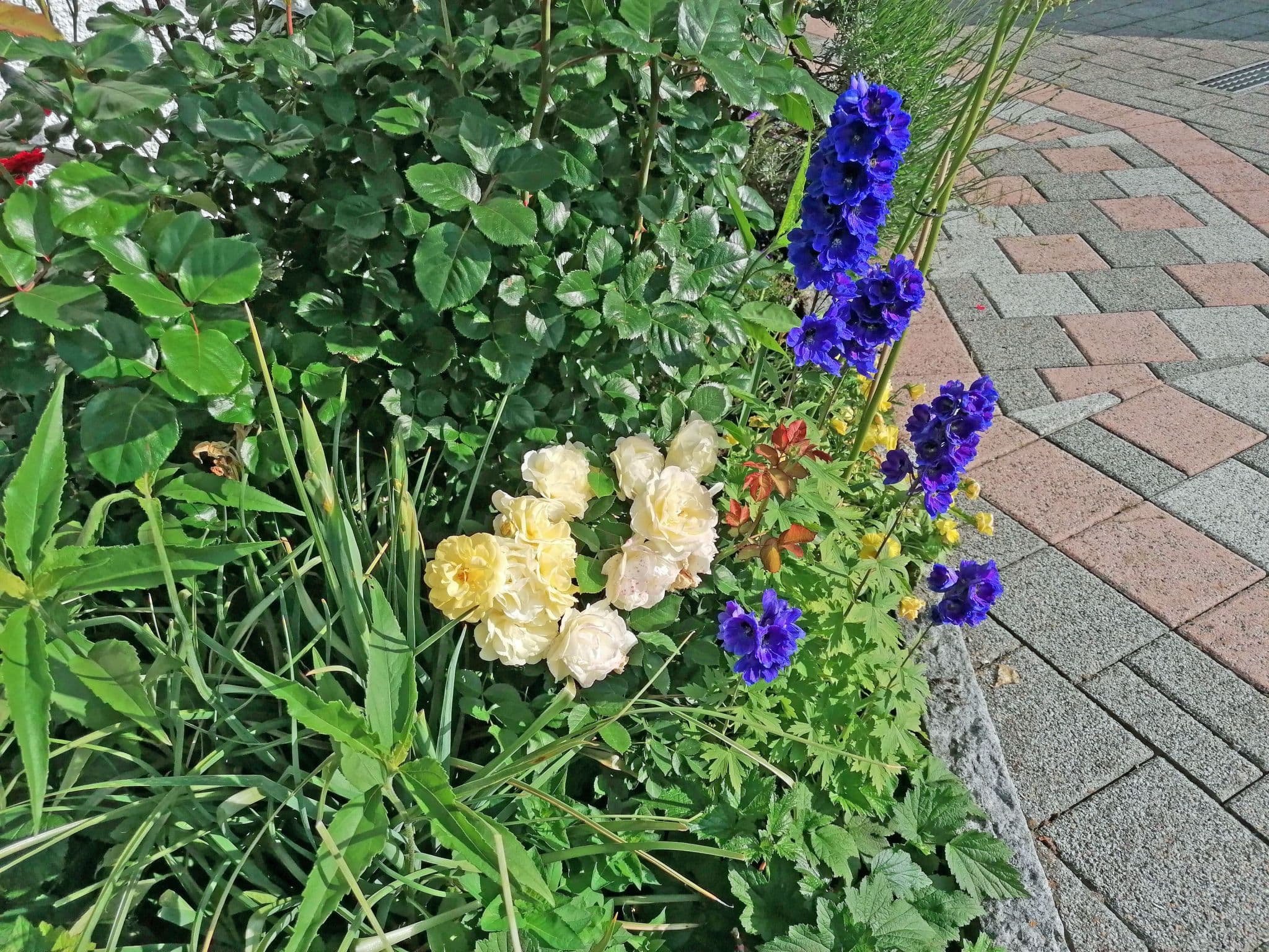 Gallery Image 20