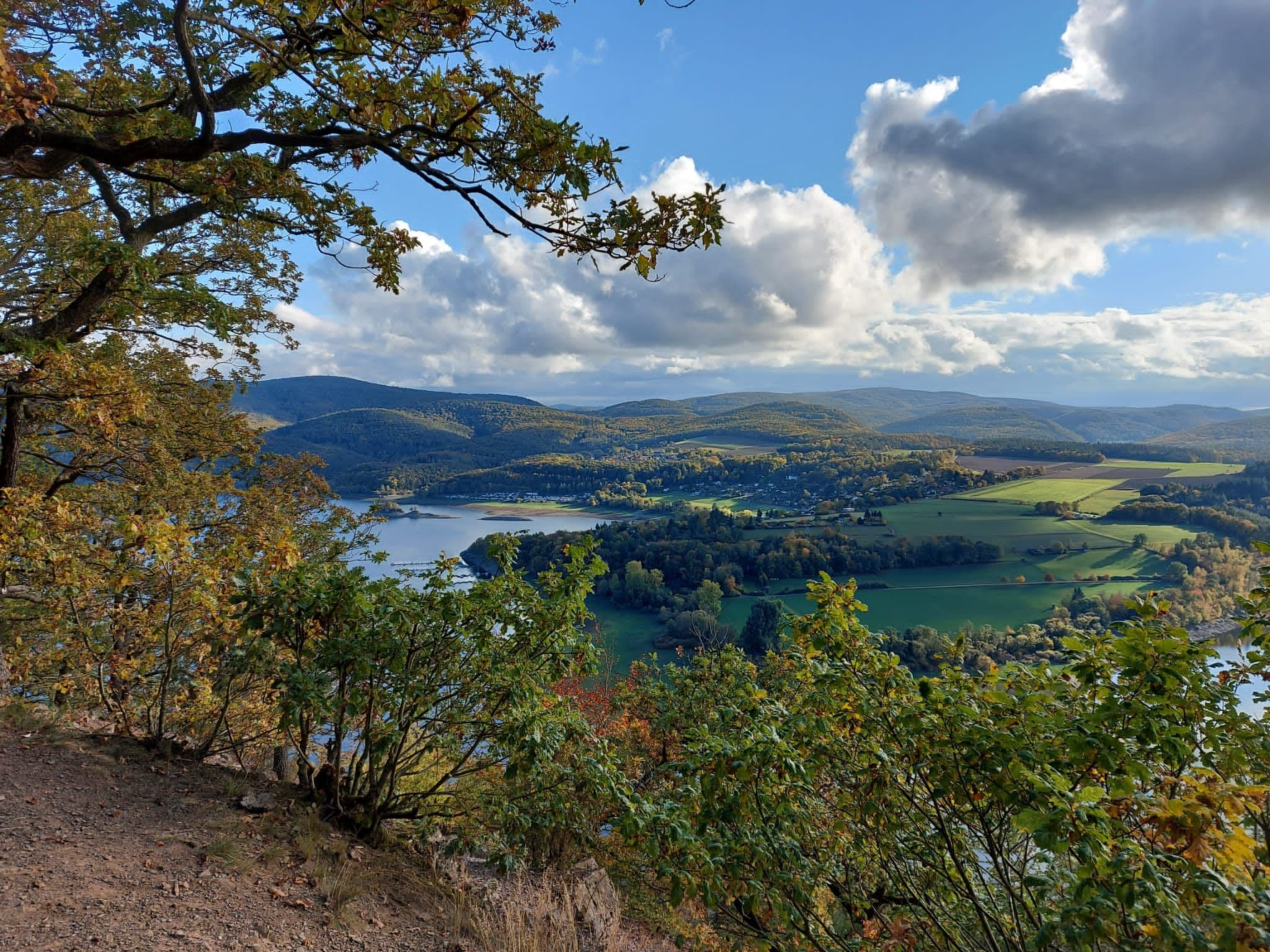 View