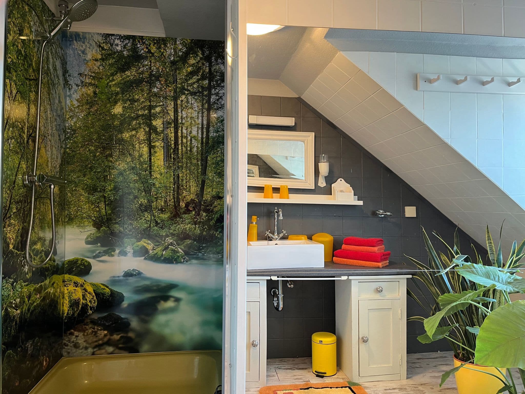Bathroom / Wellness