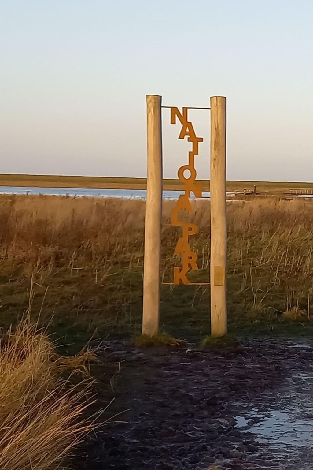 Gallery Image 15