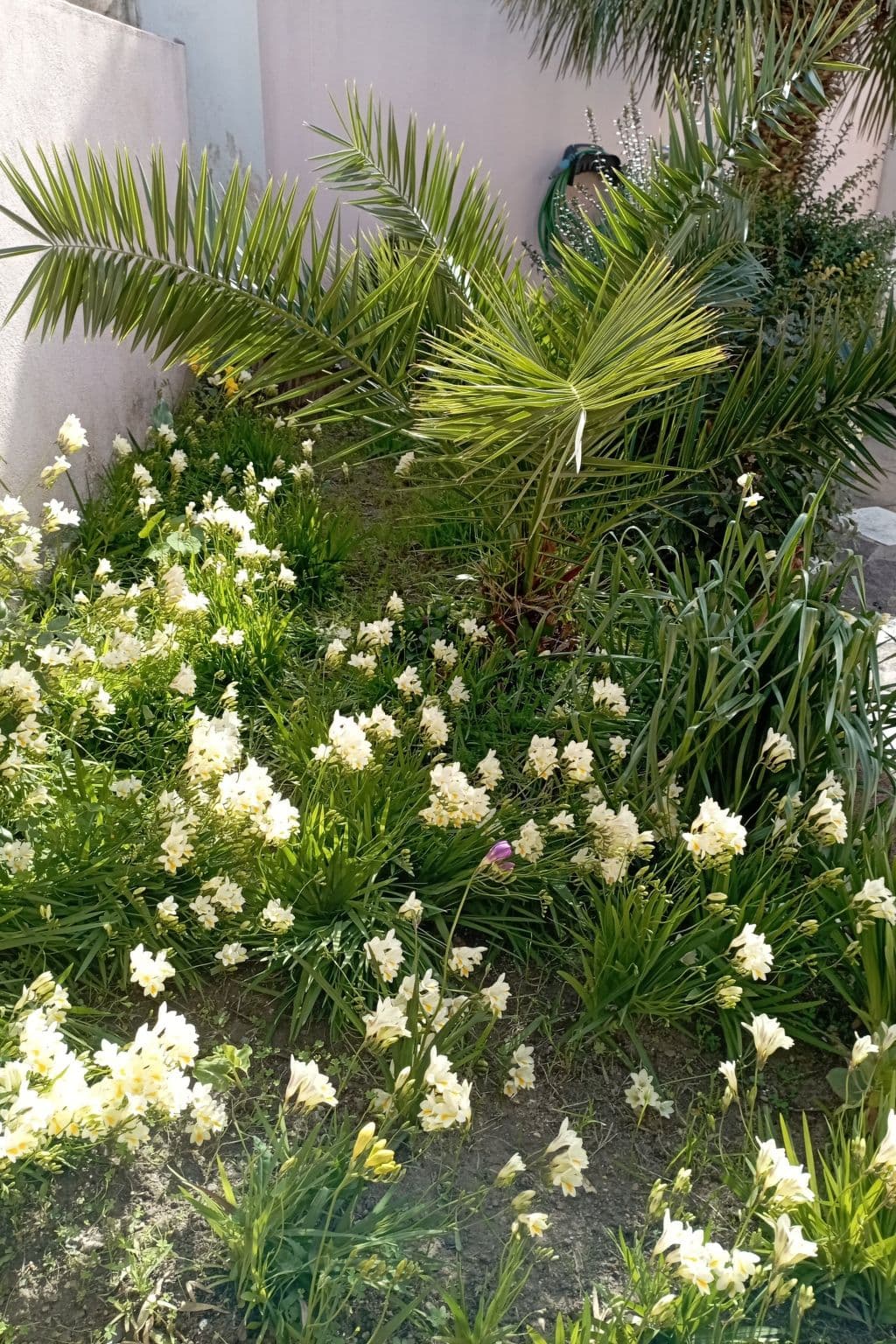 Gallery Image 29