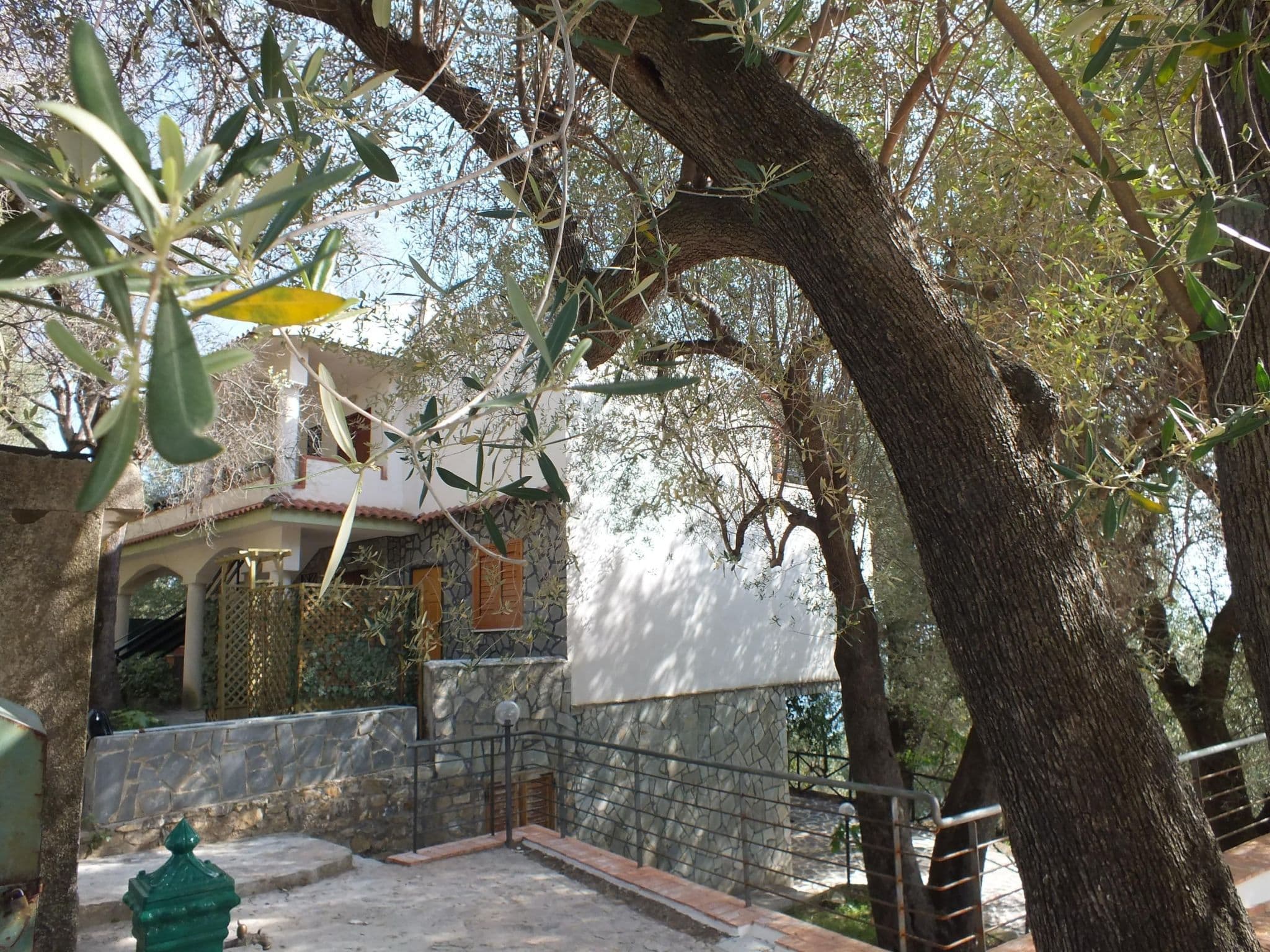 Gallery Image 52