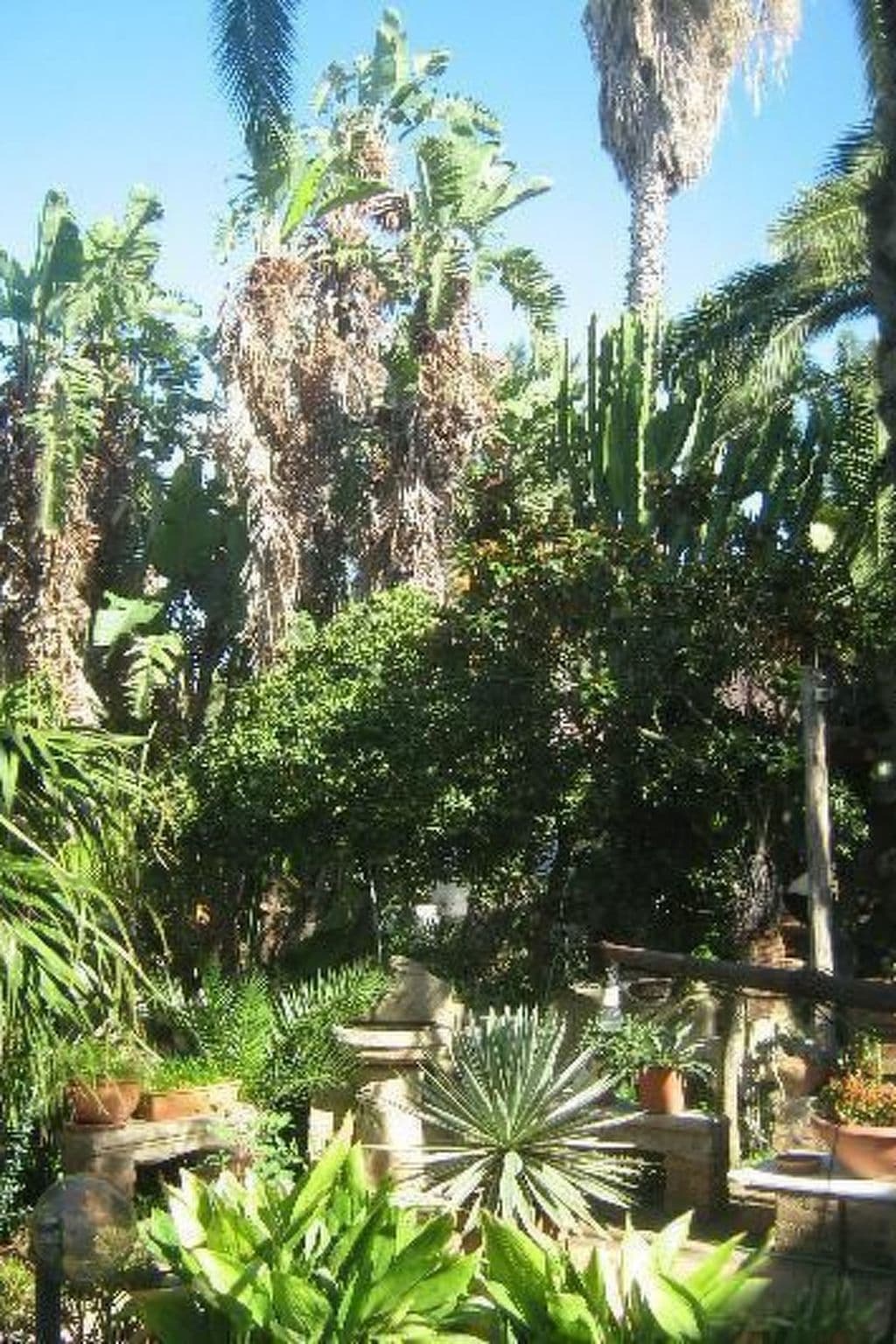 Gallery Image 8