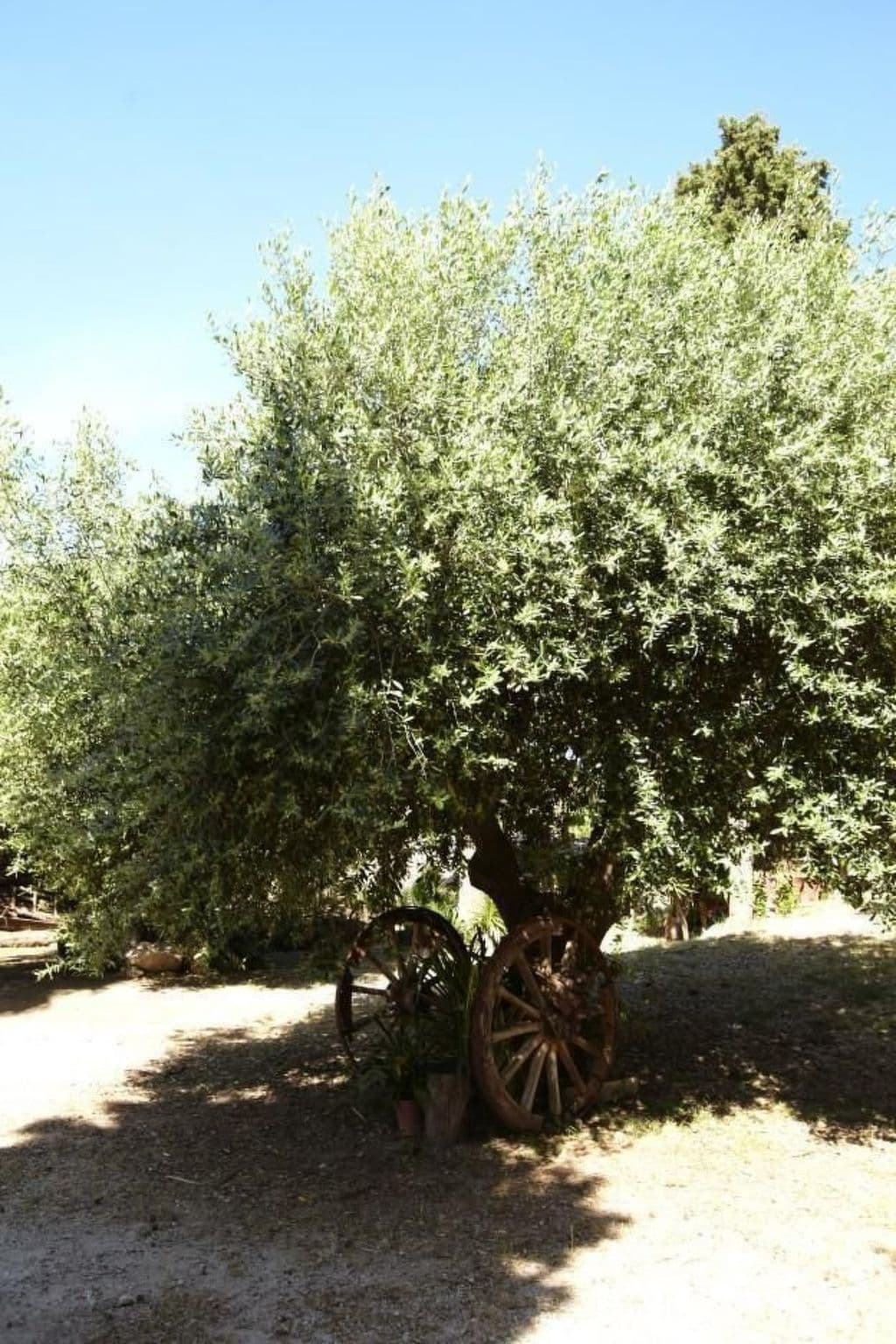 Gallery Image 29