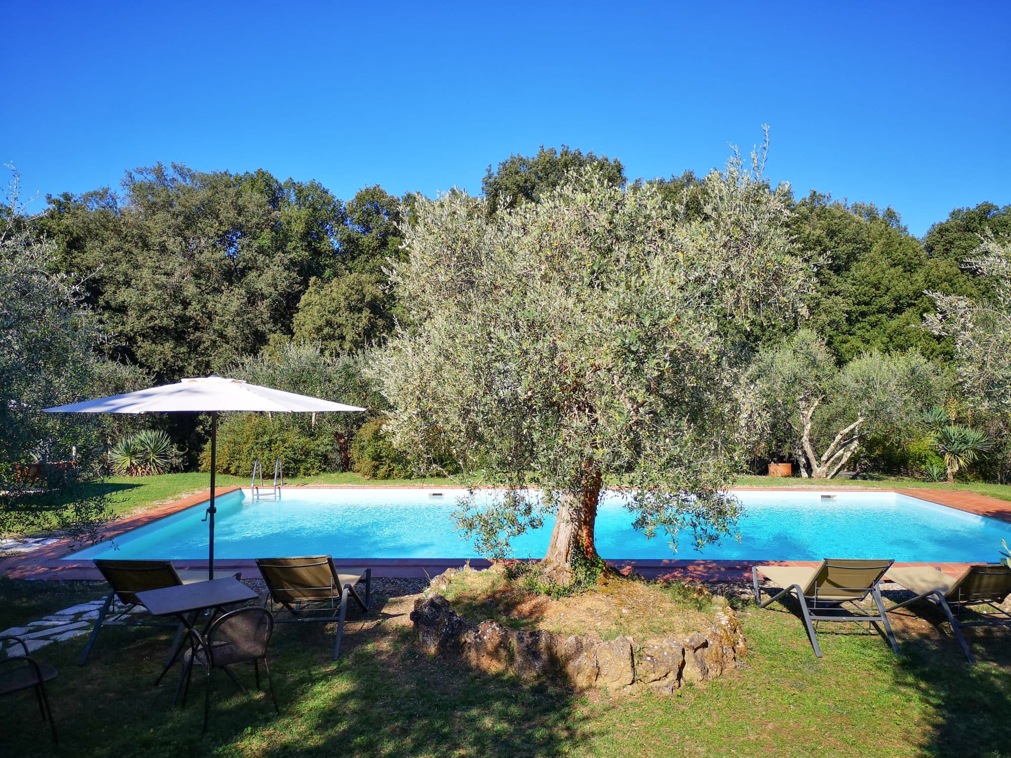 Pool Outdoor