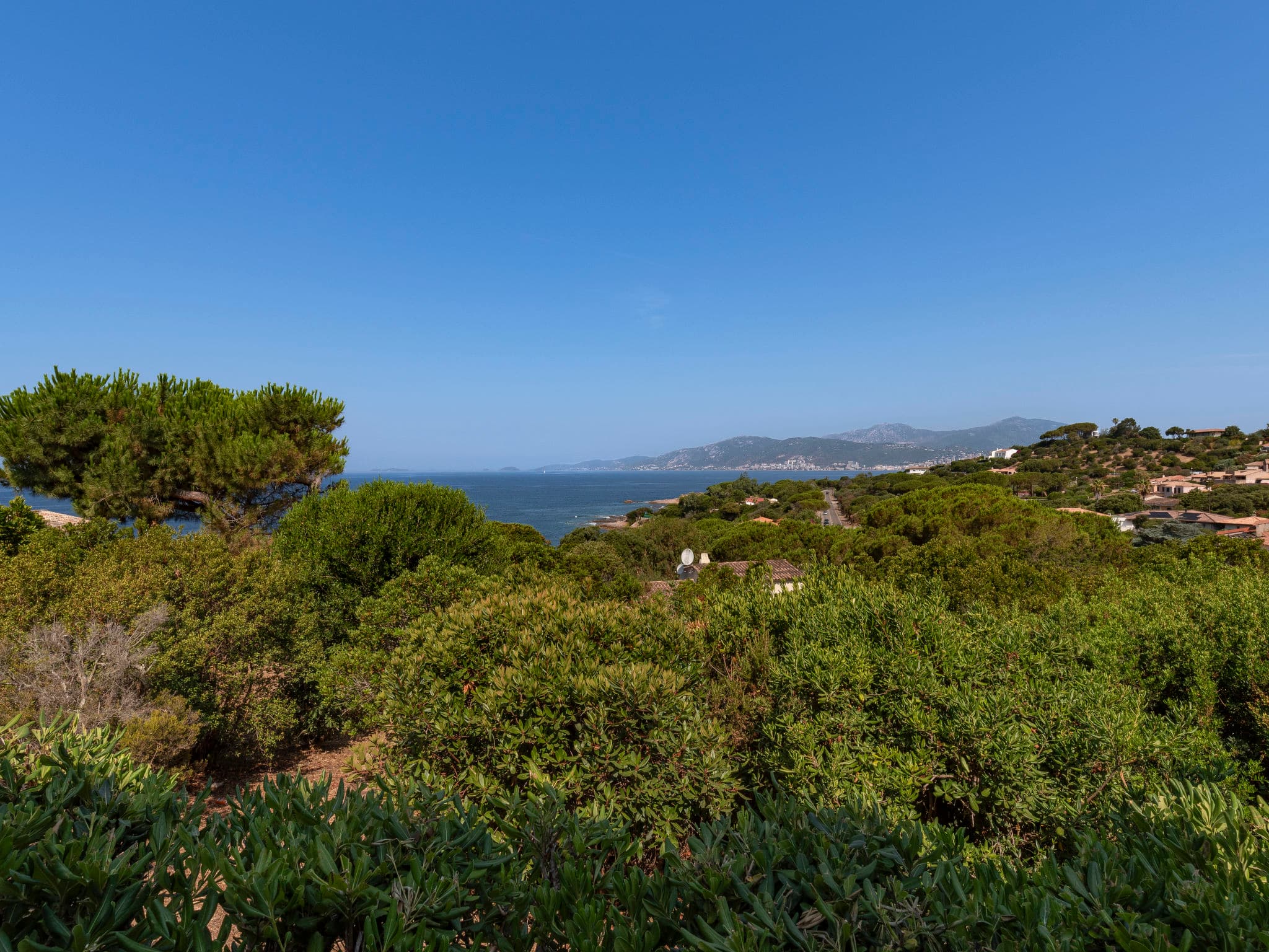 View
