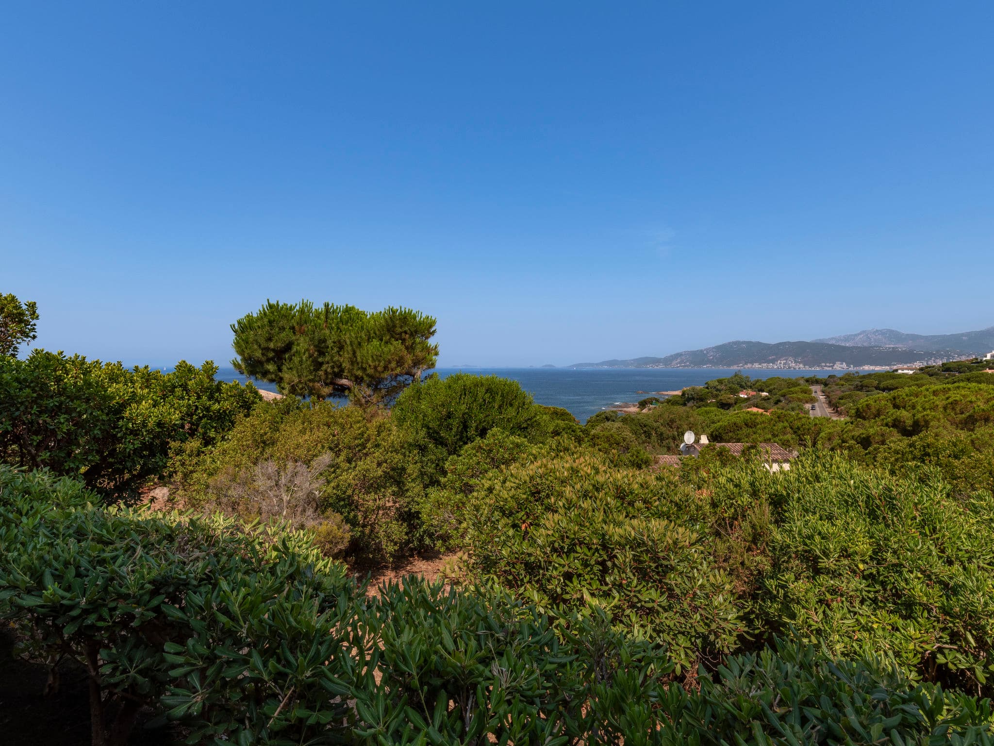 View