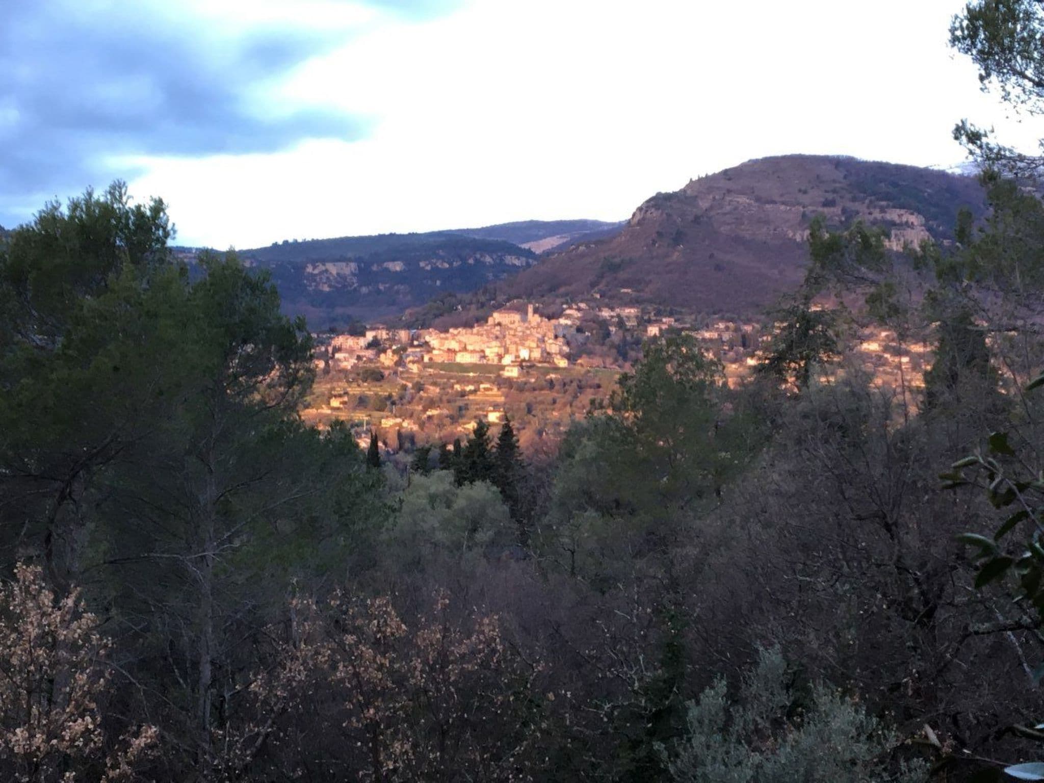 View