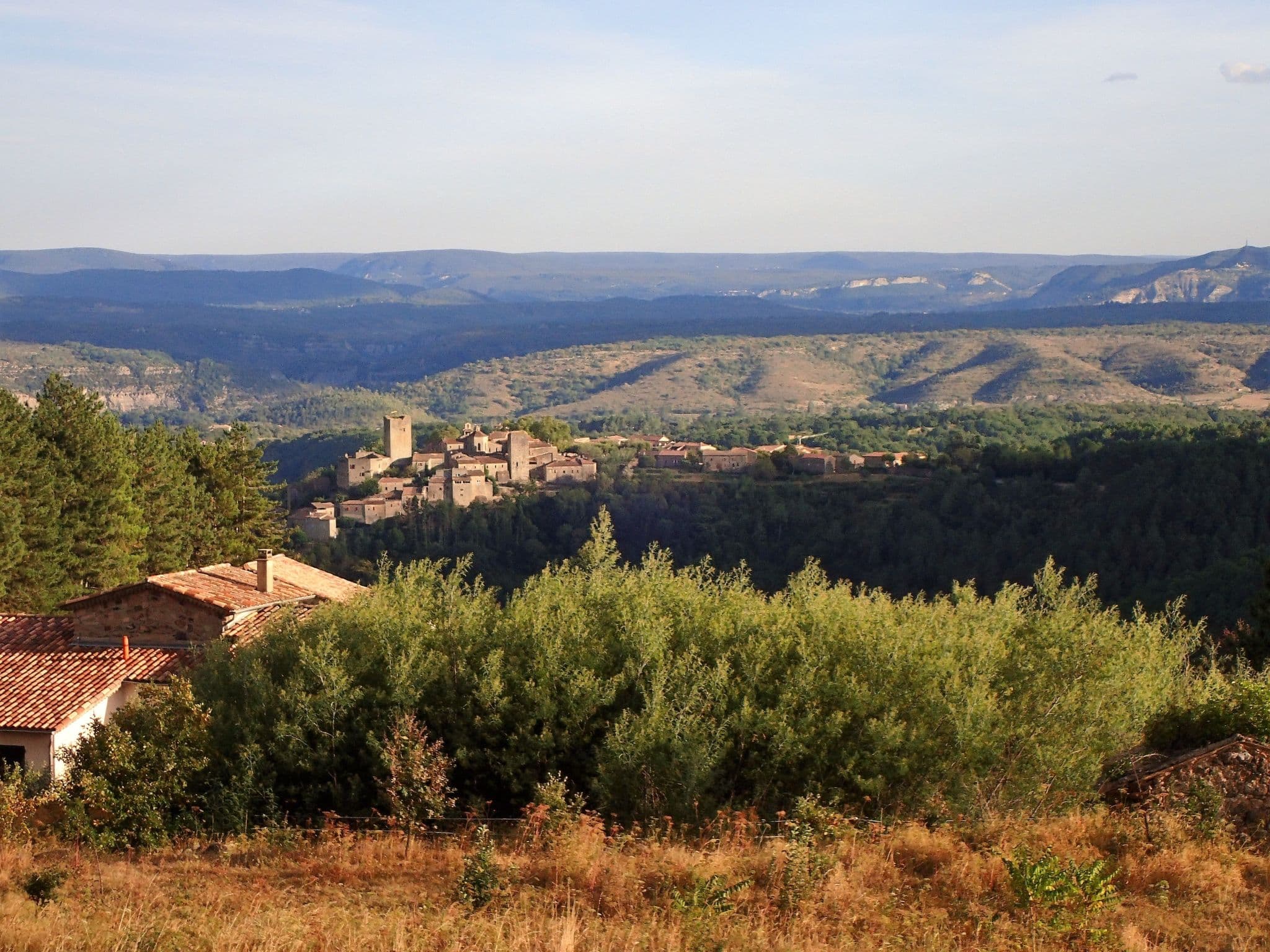 View